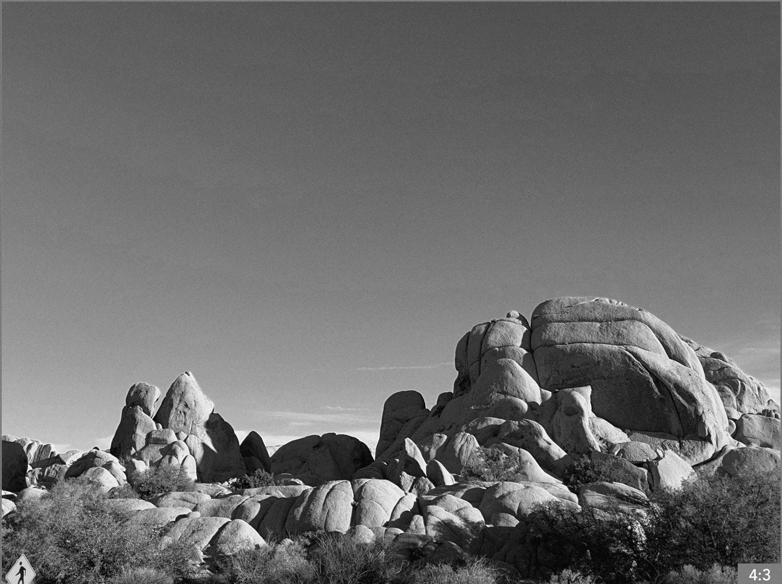 49. Joshua Tree near Skull Rock or Jumbo Rocks  6. SHOT: CLOSE/MEDIUM: daughter sketches birds in an art book (Moved from Salton Sea)