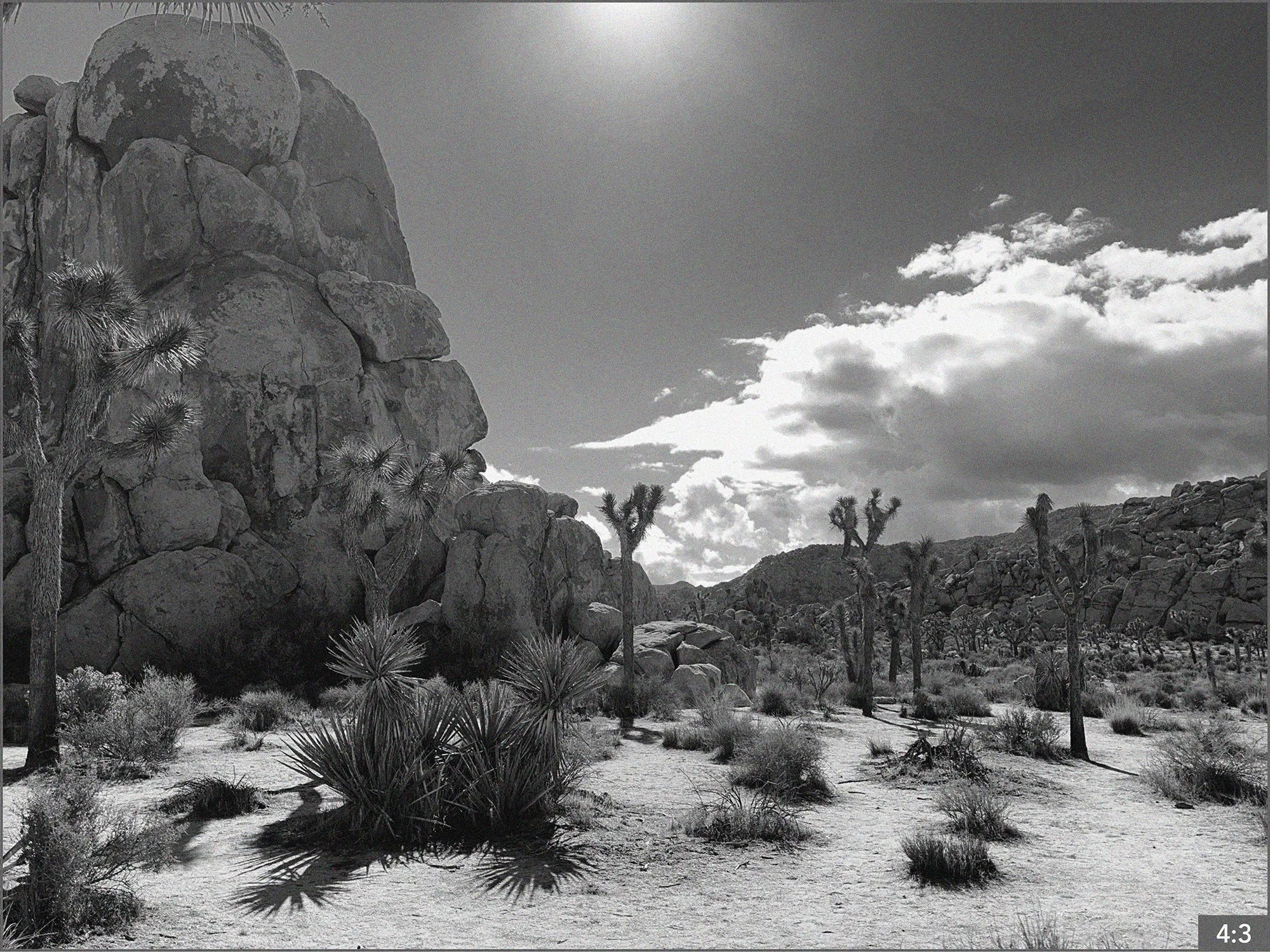 46. Joshua Tree Ryan Ranch and Ryan Mountain or Jumbo Rocks  4. SHOT: LONG/ MEDIUM - father and daughter sit in the dirt collecting bugs
Daughter with feathers
Daughter hands Father a late feather.