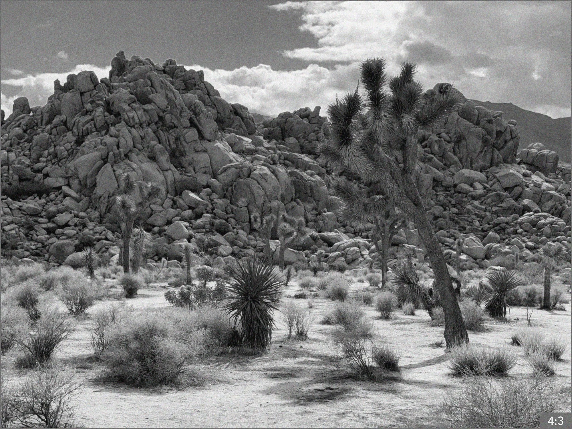 45. Joshua Tree Hidden Valley  *Option- 1. SHOTS: COVERAGE CLOSE AND LONG: Daughter wanders alone with the windmills behind her, PULL OUT or PULL IN as she gets smaller or larger to show her isolation and loneliness.
Dad Climbs rocks
Daughter climbs 