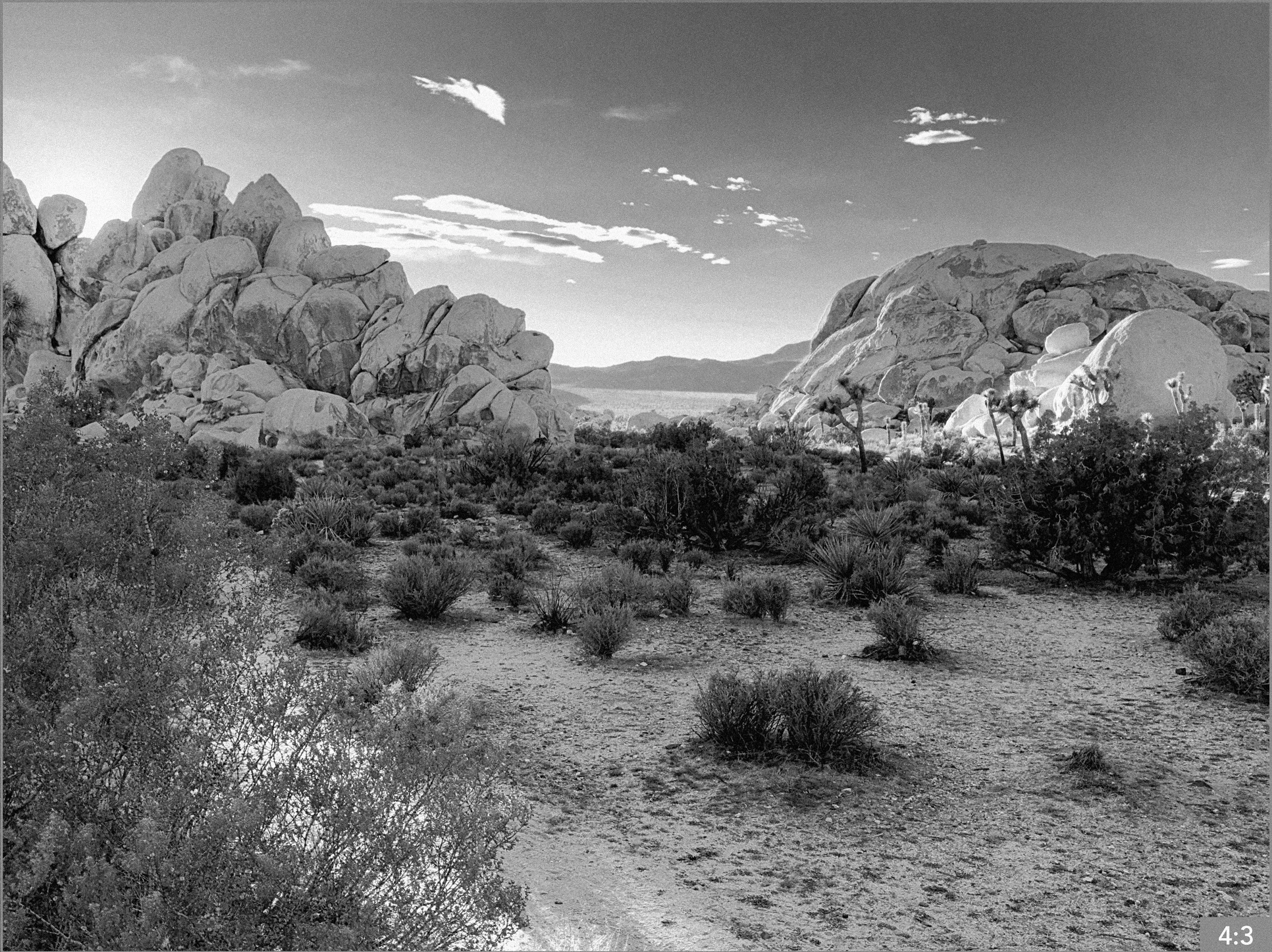 51. Joshua Tree Hall of Horrors 4:30 pm