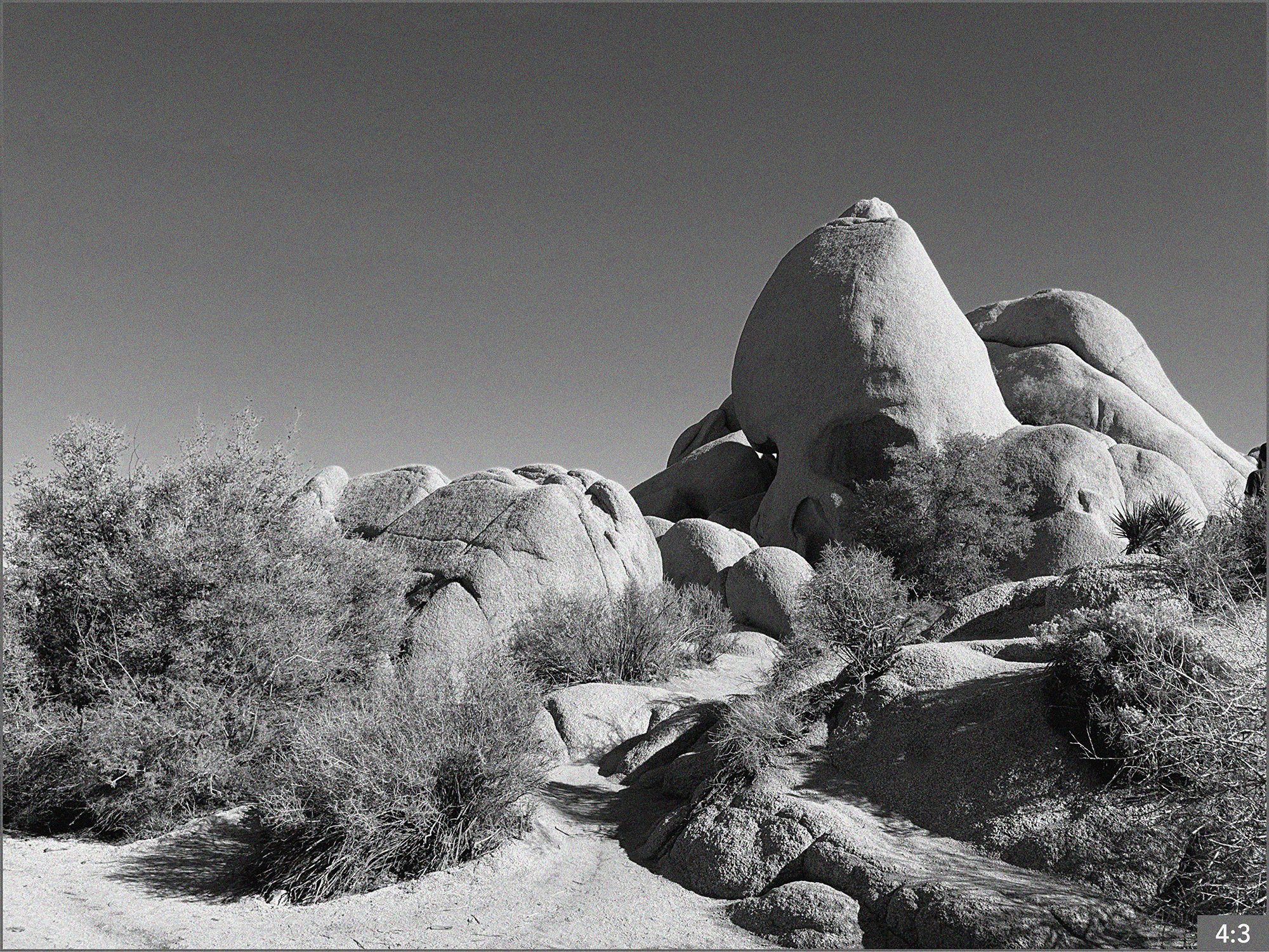 47. Joshua Tree Skull Rock