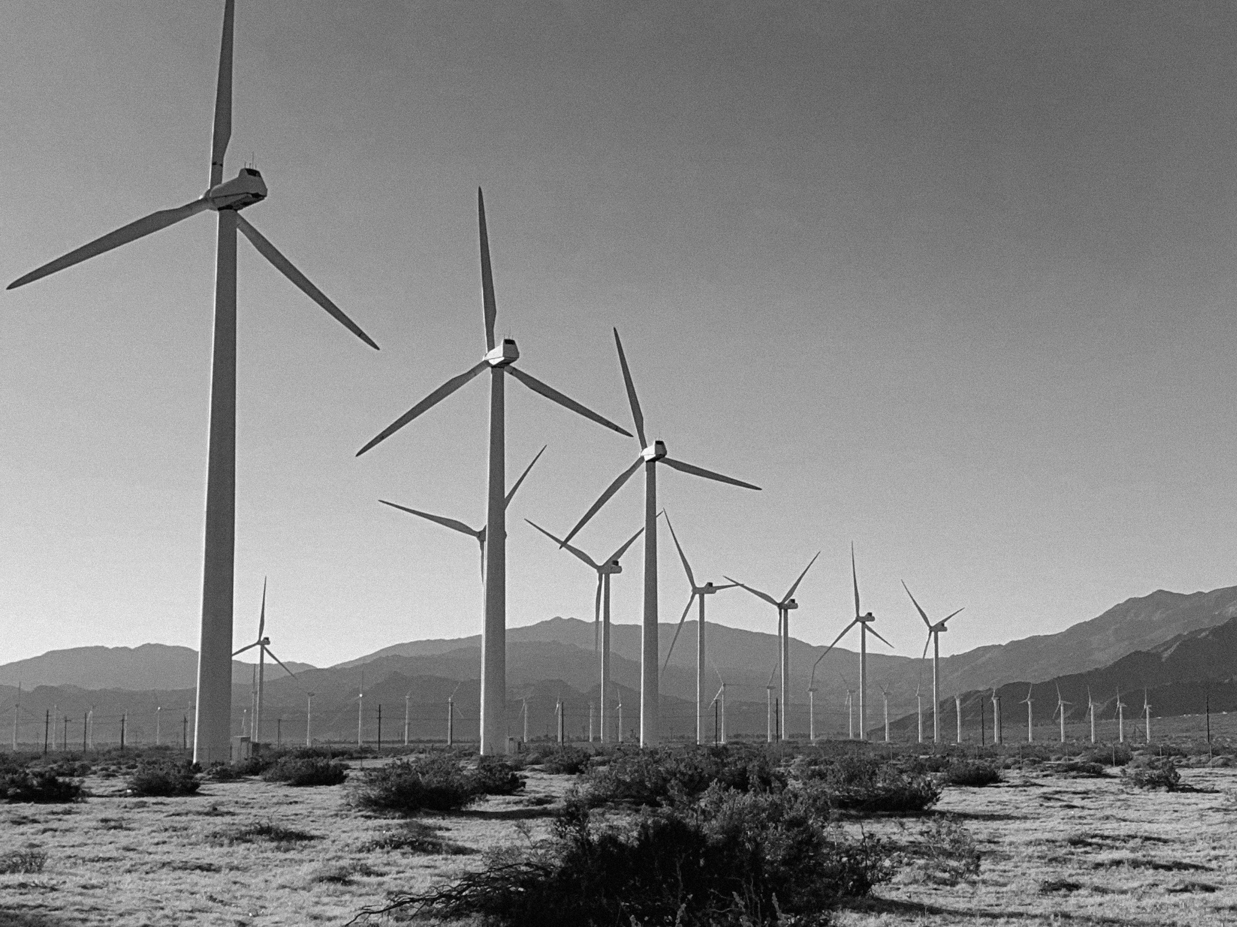 37. Palm Springs windmills 7:30 am 701 Garnet Ave, Desert Hot Springs, Ca, Garnet Ave between Indian Canyon Drive and Wall road. 1. SHOTS: COVERAGE CLOSE AND LONG: Daughter wanders alone with the windmills behind her, PULL OUT or PULL IN as she gets 