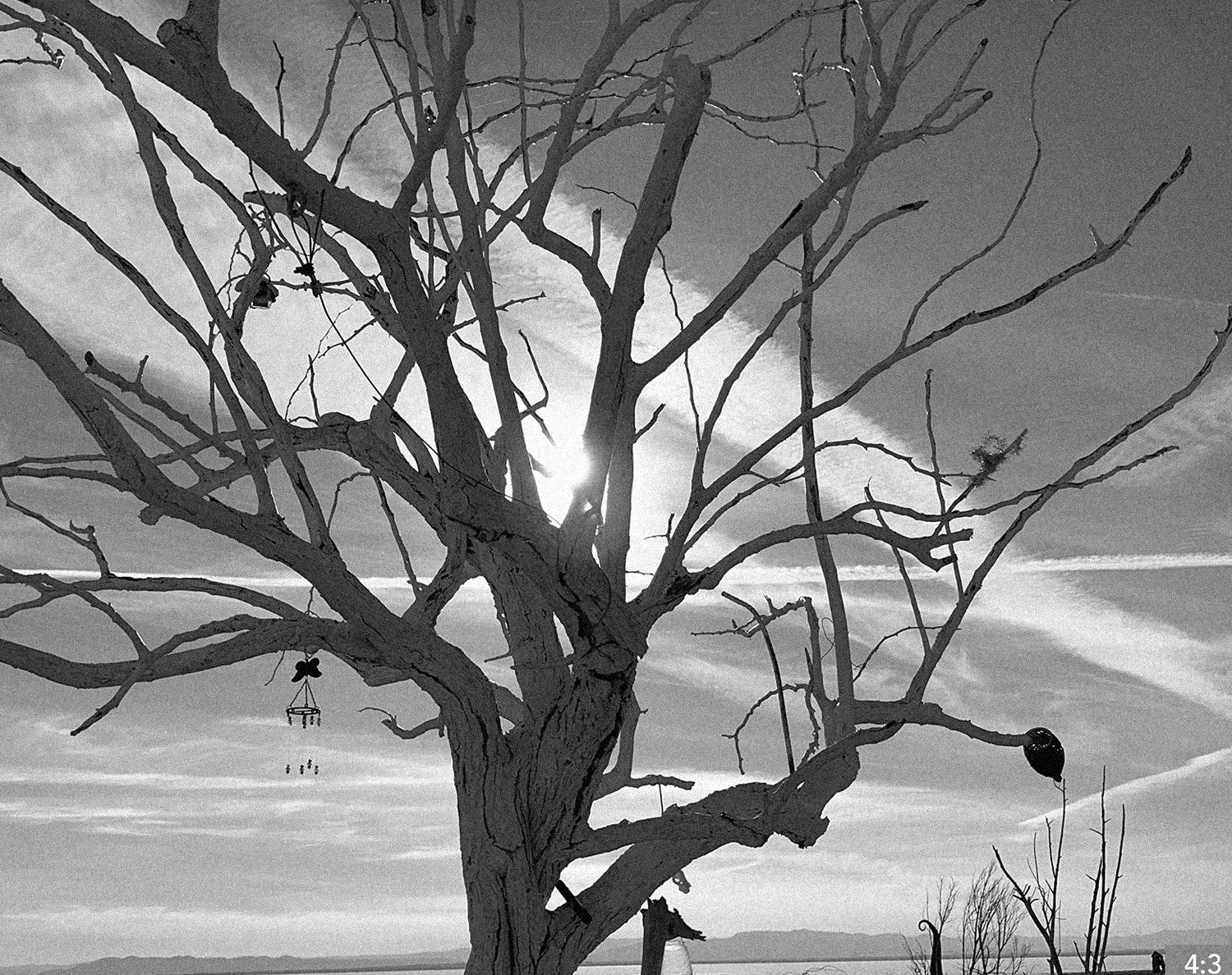 75. Salton Sea 4. SHOT PANNING a single bubble floating along.