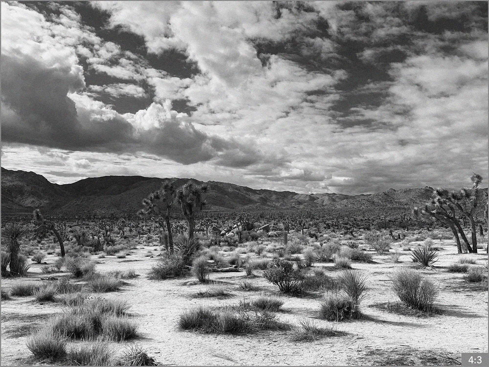 52. Joshua Tree Hall of Horrors  3 SHOT: LONG/ MEDIUM CLOSE - daughter paints the word CHANGE on a rock