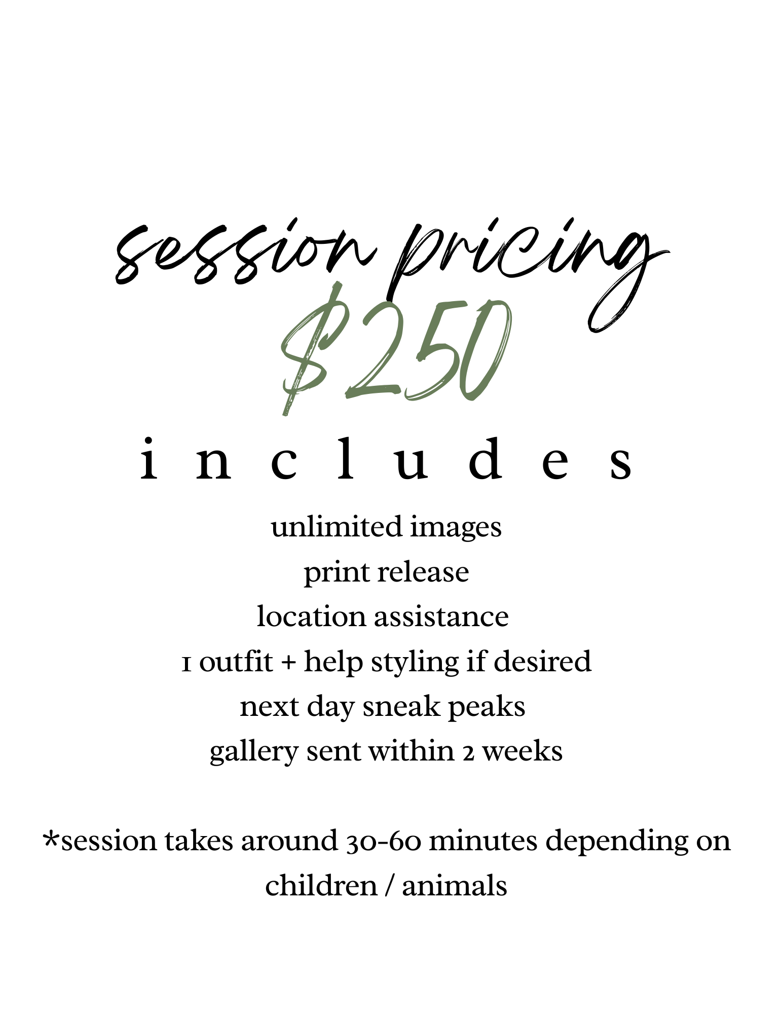 A promotional flyer for a photography session priced at $250, including unlimited images, print release, location assistance, styling help, sneak peeks, and gallery delivery within two weeks, with a session duration of 30 to 60 minutes.
