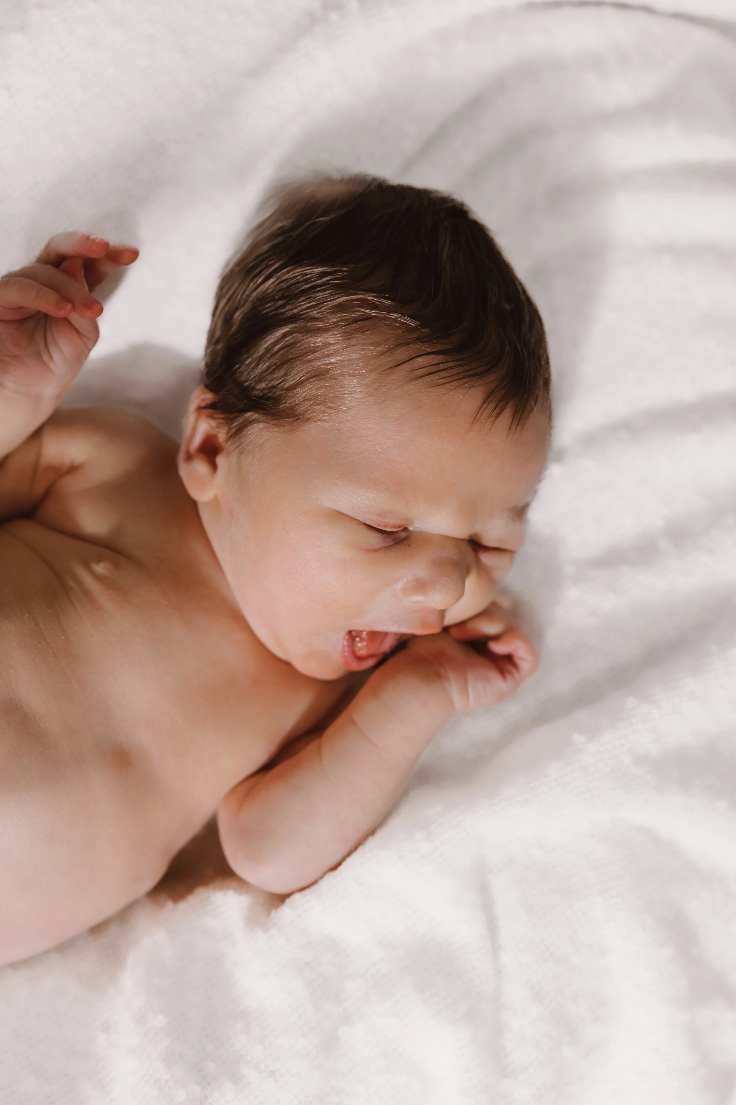 newborn baby boy portrait in peoria illinois studio