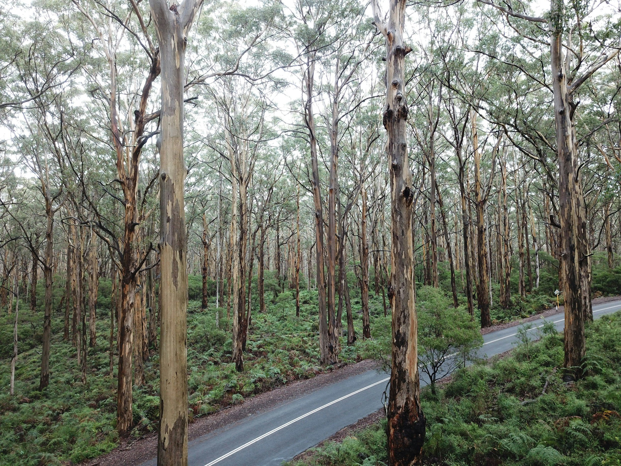 Western Australia