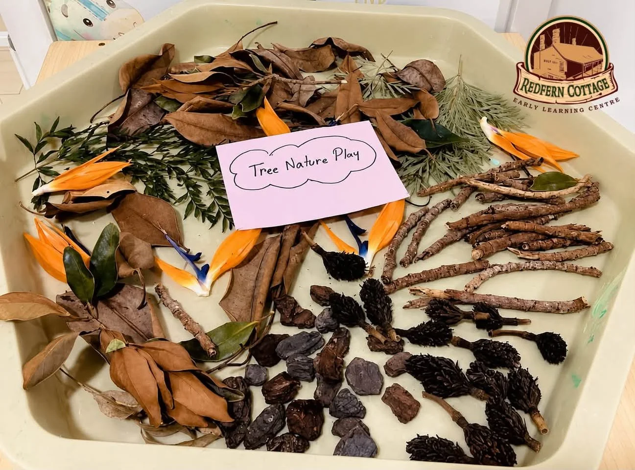 Hands Full of Spring: How Sensory Play Builds Confidence at Redfern Cottage