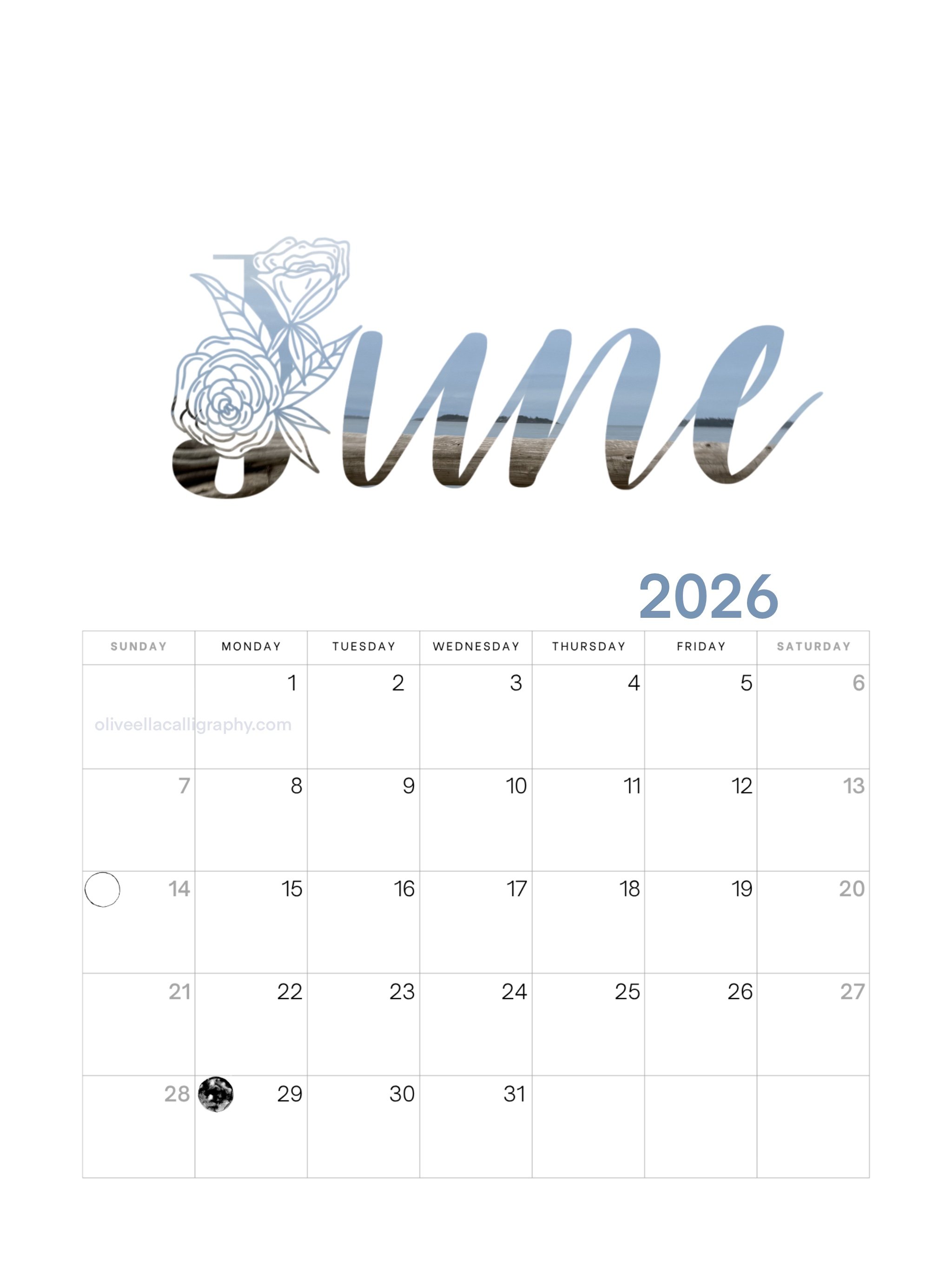 2026 calendar page for June, with a background image of a lake and beach scene inside the word 'June' written in cursive, and a decorative floral element on the left side of the word.