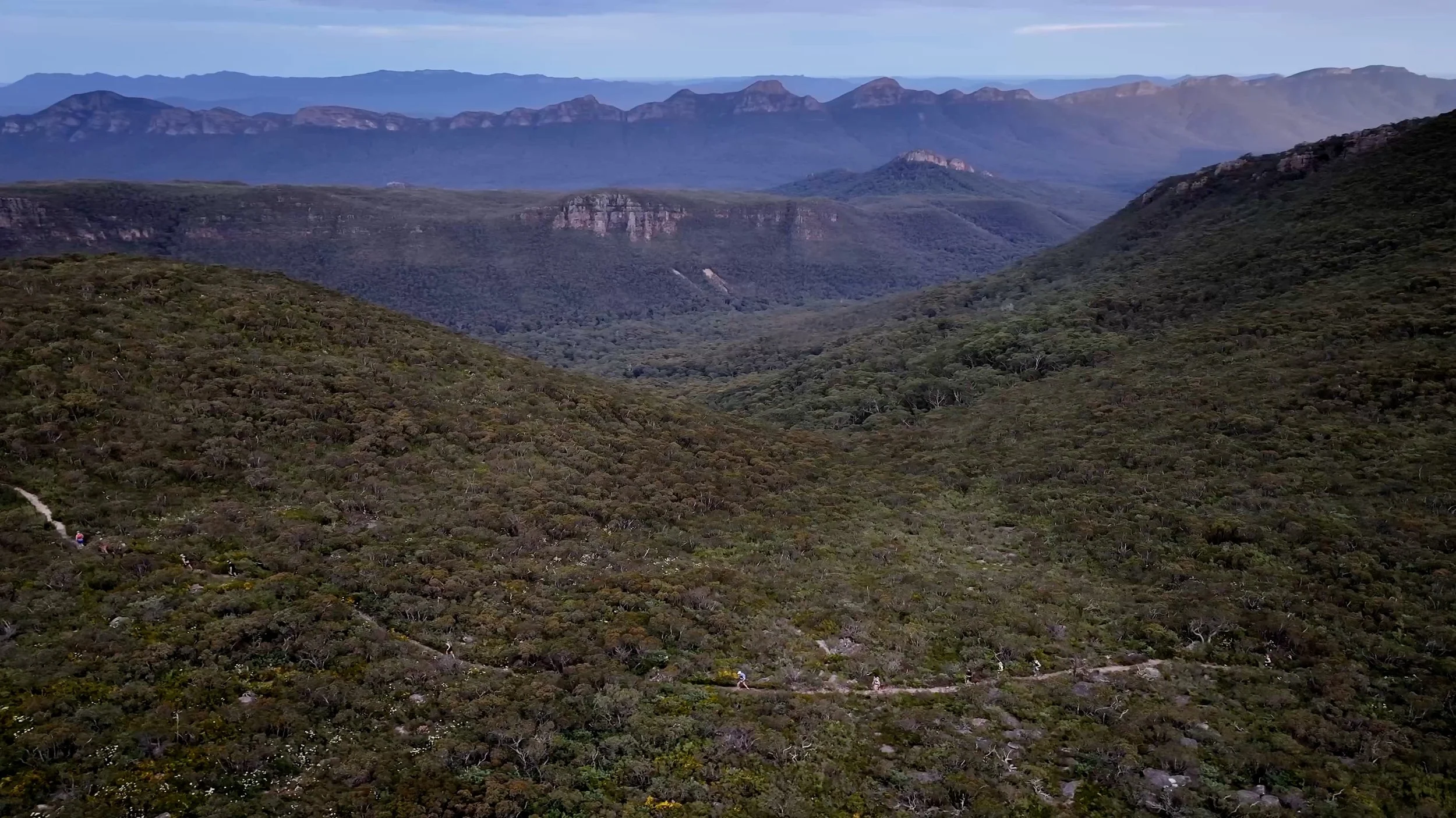 Untitled Project 1.JPG