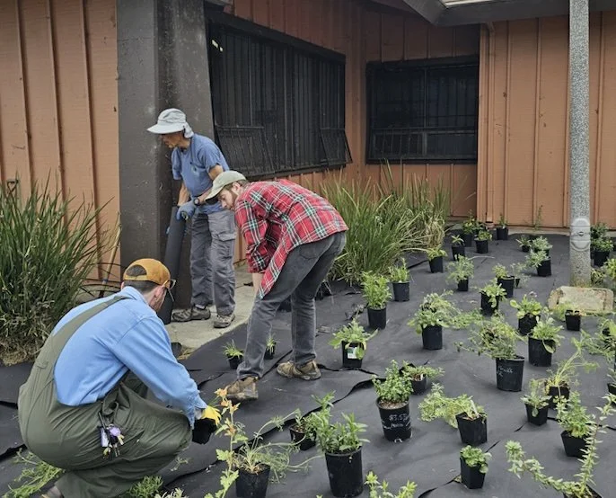 Volunteers planting herbs and flowers at Booker T. Anderson Community Center in Richmond, CA.