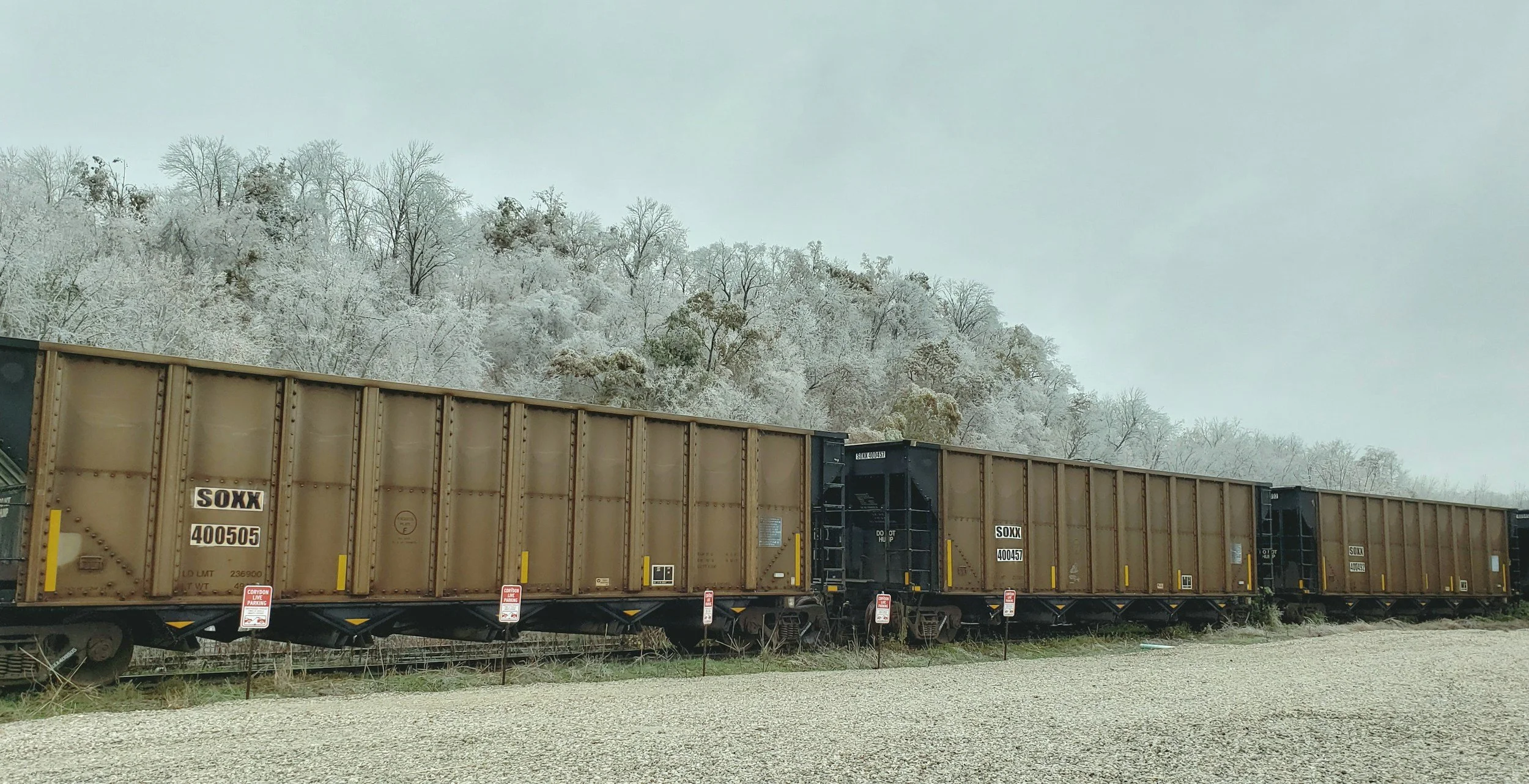 A line of railroad cars on a train track in the foreground with sickly trees in the background.