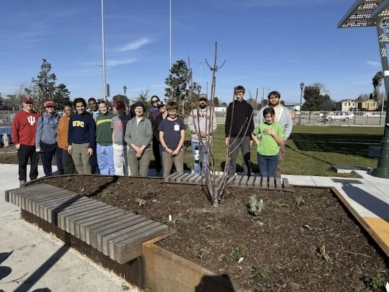 Thirteen people stand behind a large planter box in a sunny park. A bare, young tree is in the center, and a wooden bench borders the side.