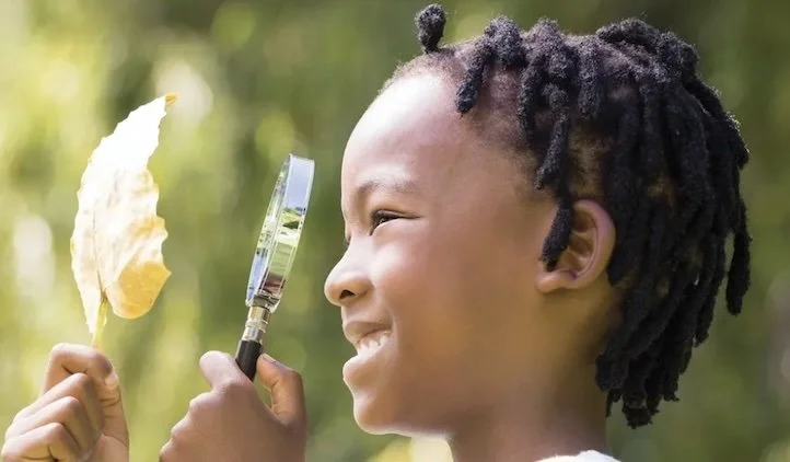 A smiling child holds a magnifying glass up to a yellow leaf, looking closely at its details outdoors