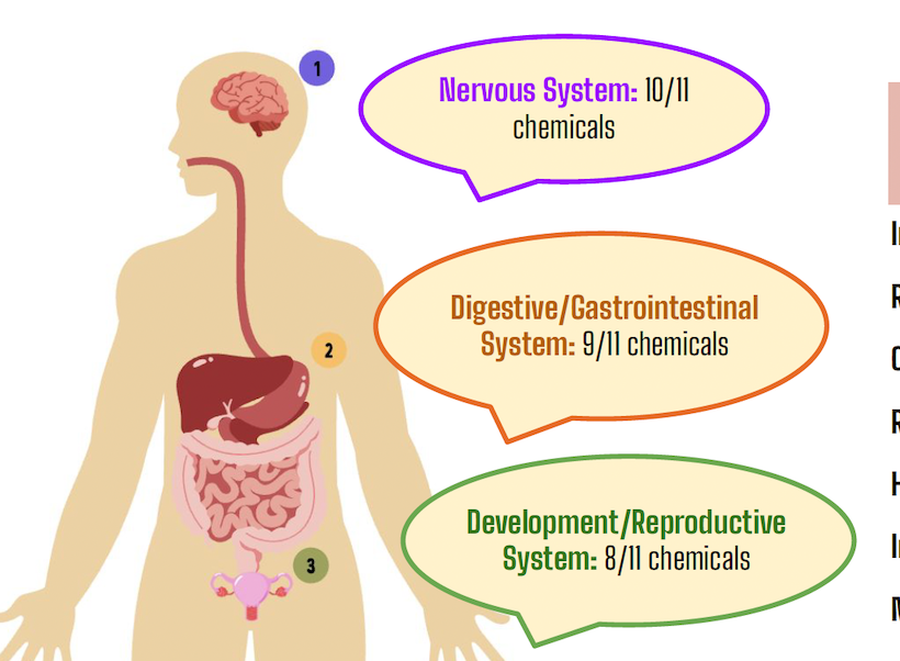 Illustration of human body's internal systems with callouts noting how many chemicals effect the nervous system (10/11), digestive /GI system (9/11) and Development/Reproductive system (8/11). . 