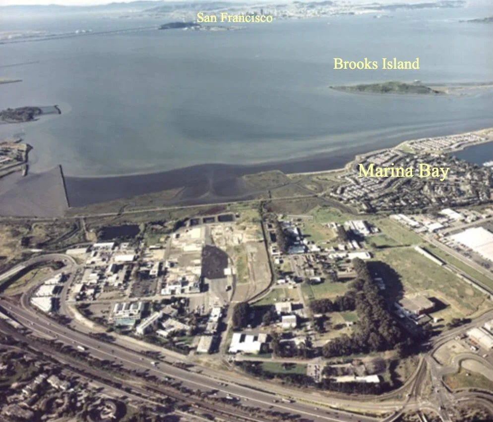 Help Clean Up the Zeneca Site | Take Action for Richmond’s Future ...