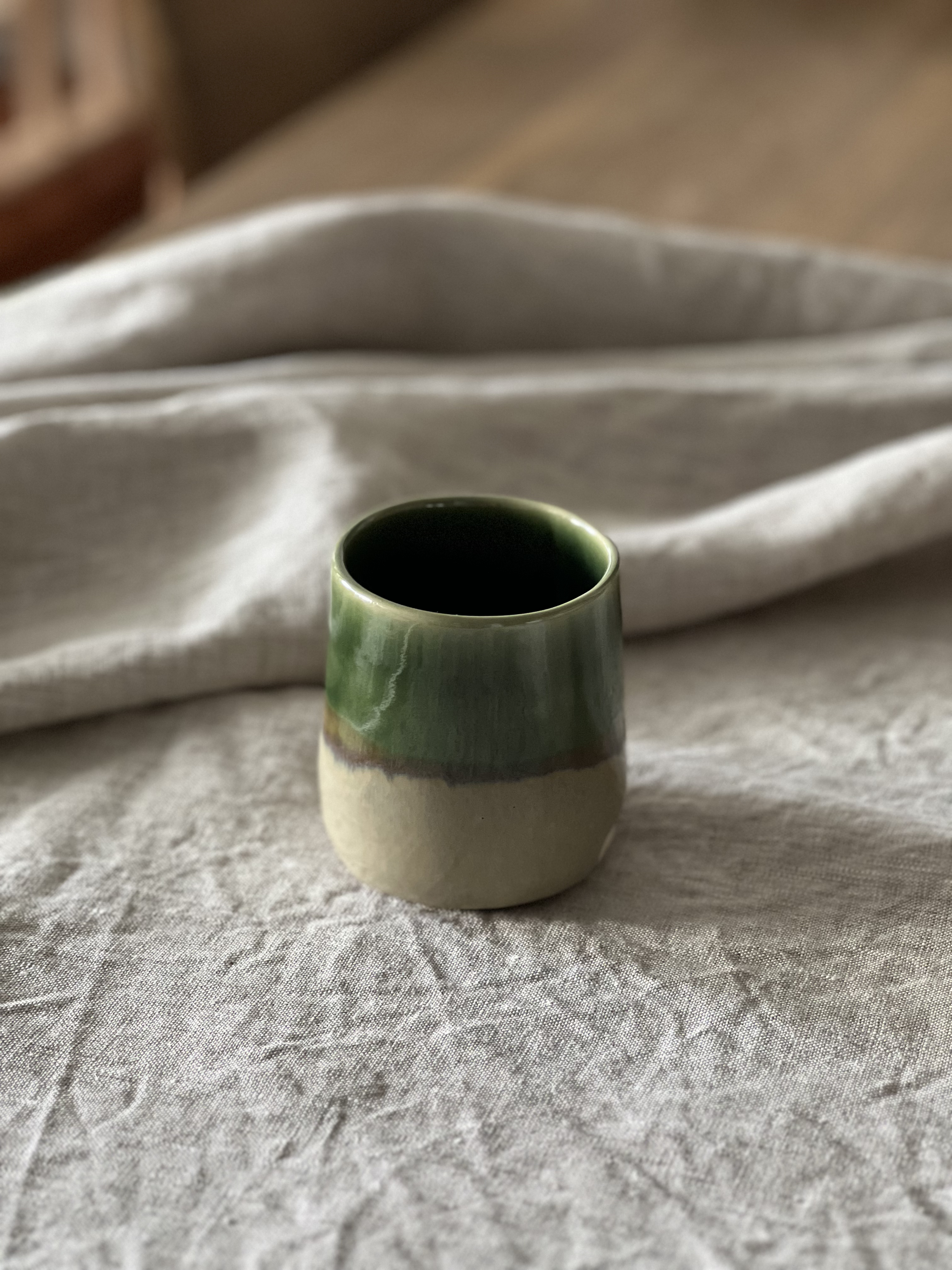 SNAIL Cup