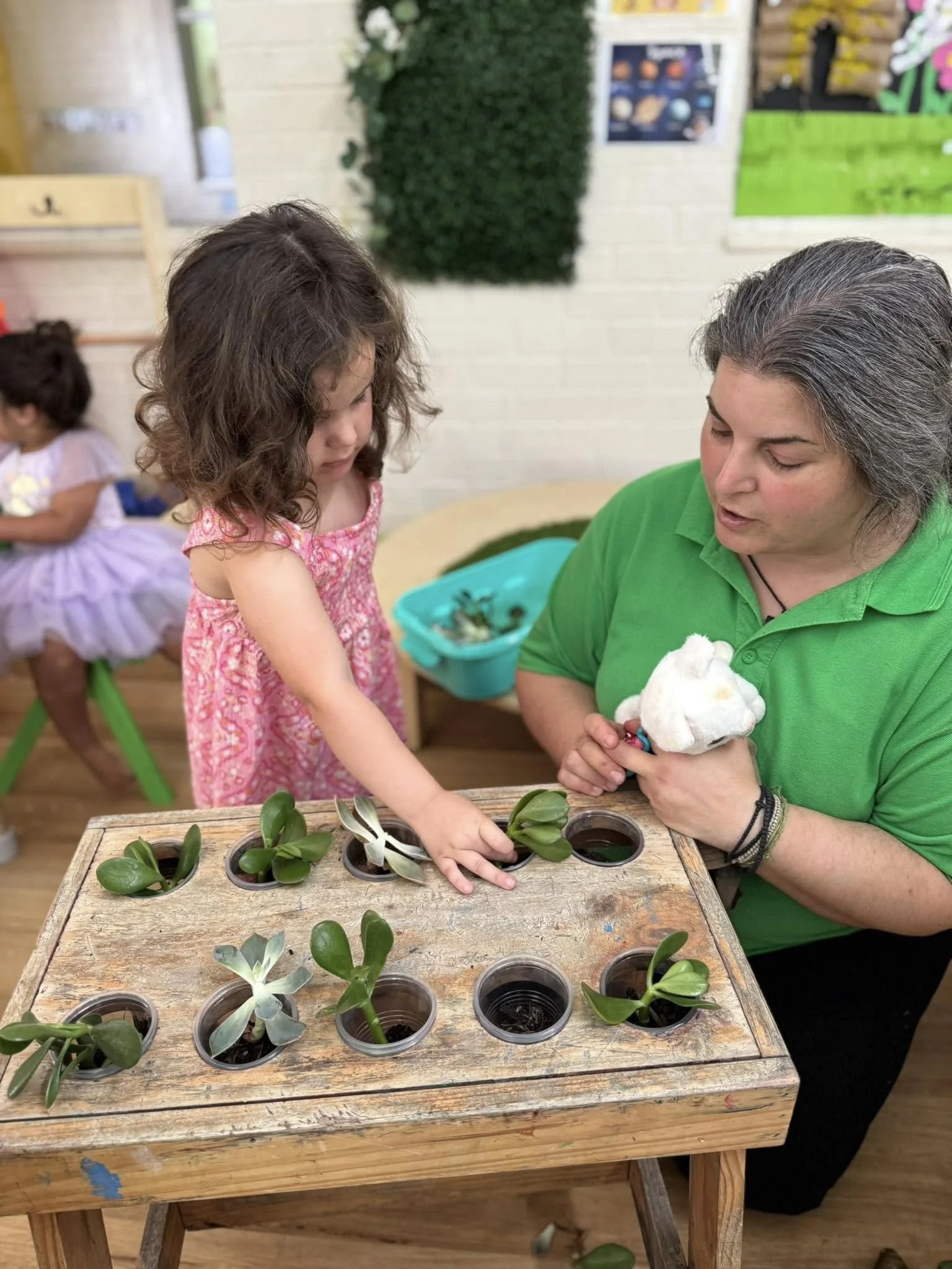 Sustainability in Early Childhood Education