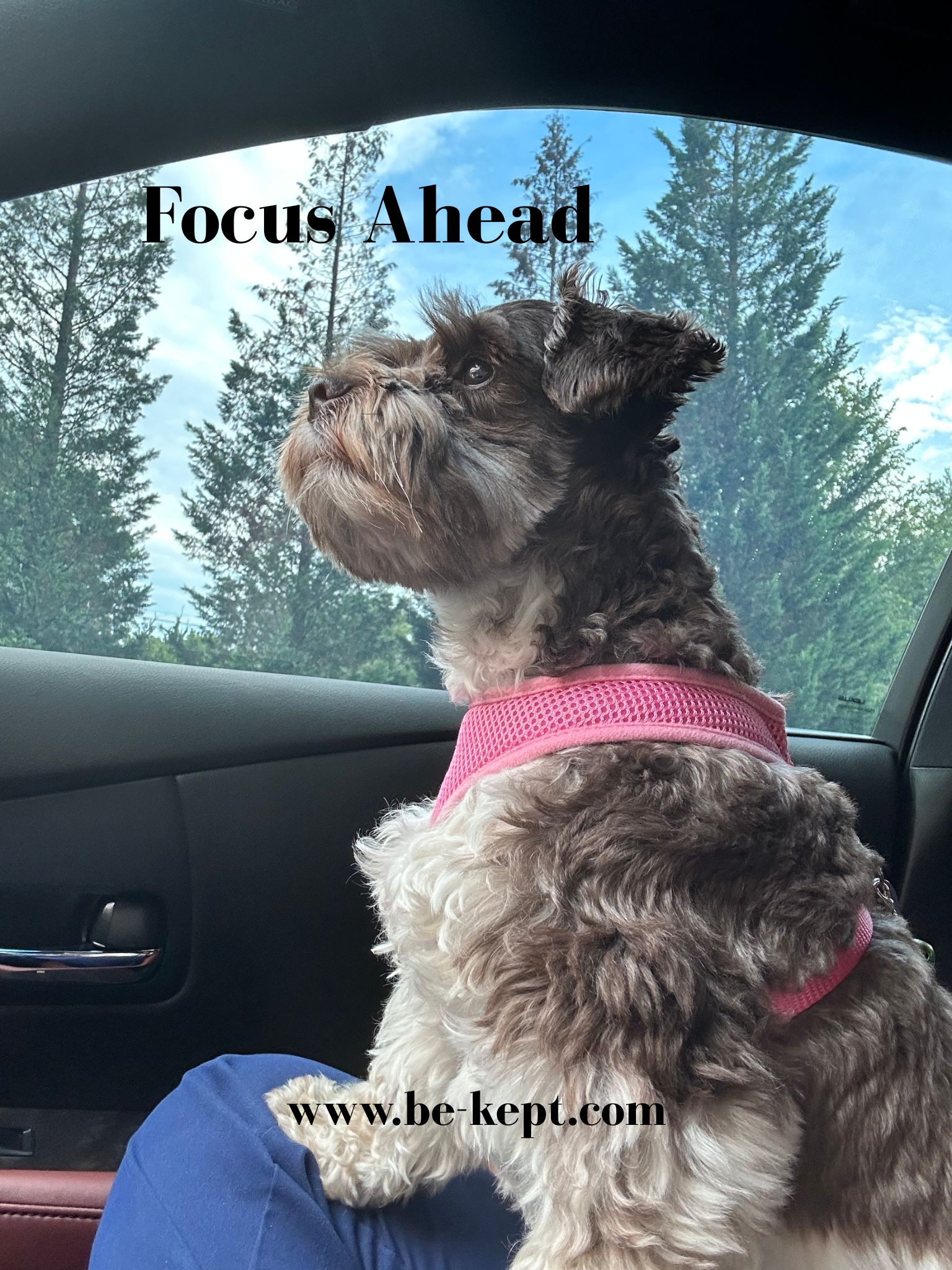 Focus Ahead.png