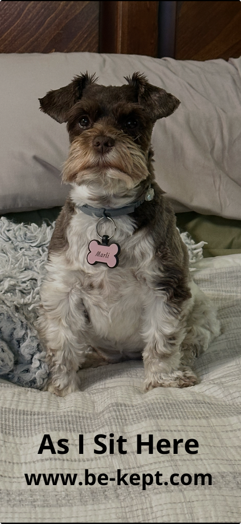 Your paragraph text (1).png