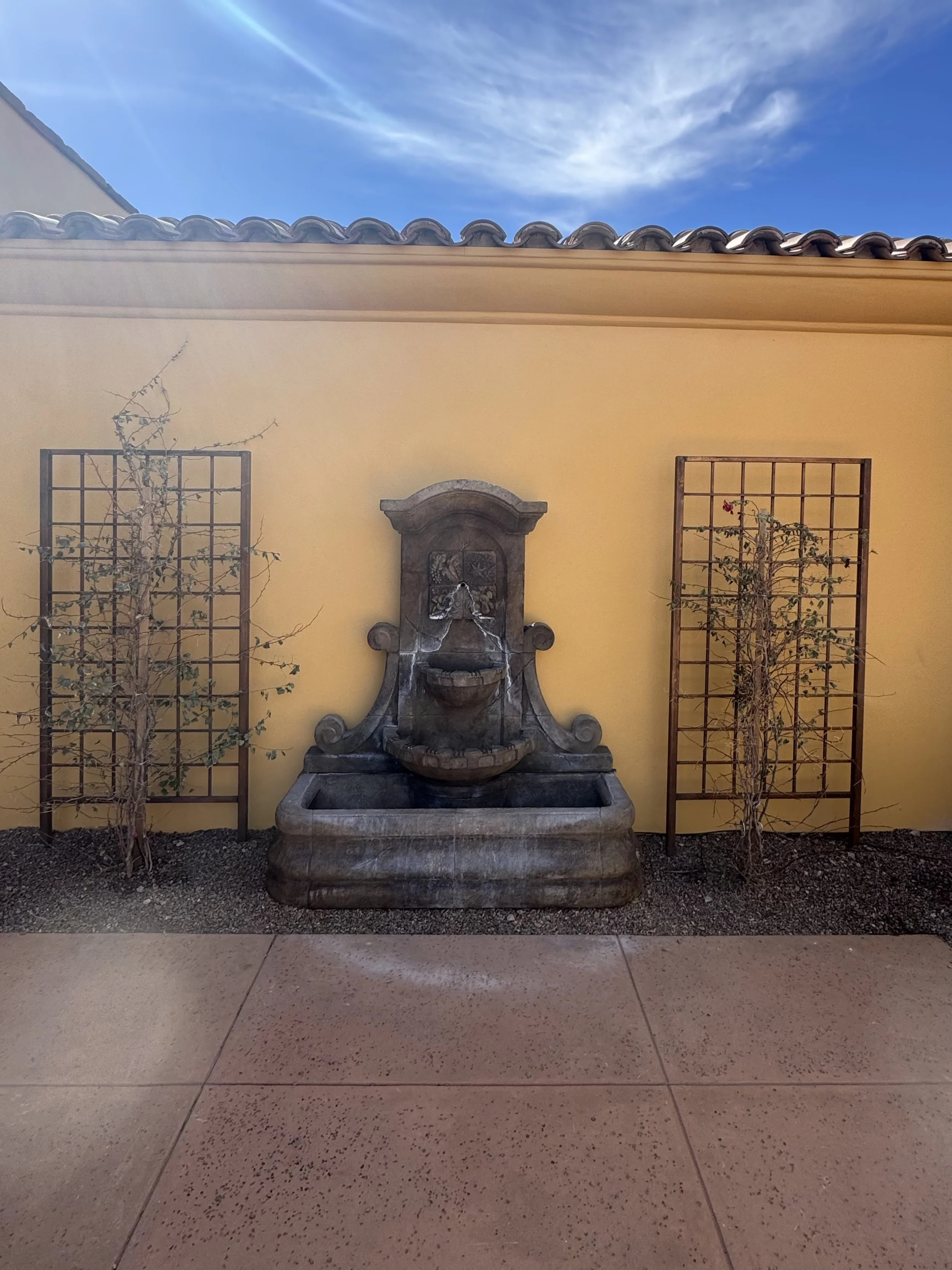 IMG_4346.jpeg