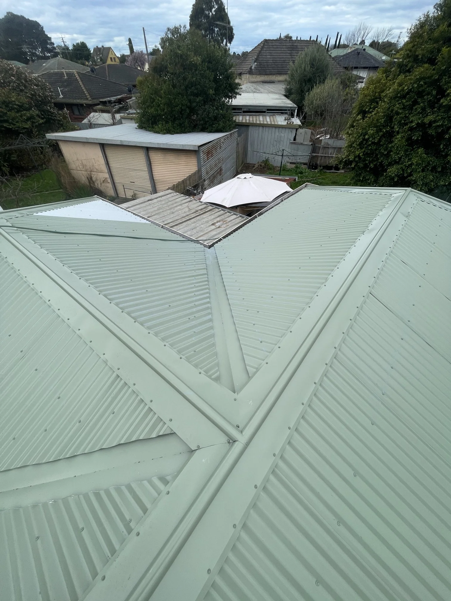 roof 3.jpg