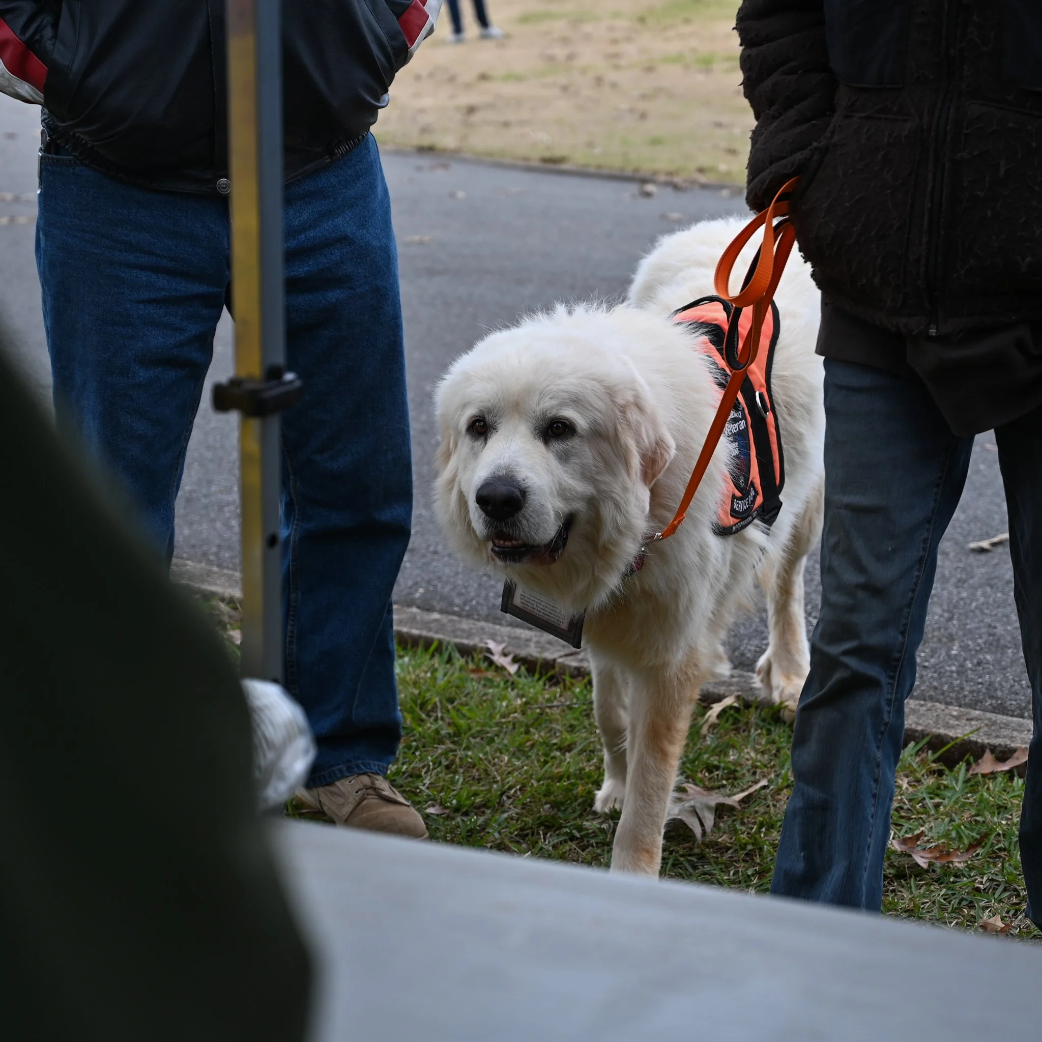 DSC_4565.jpg