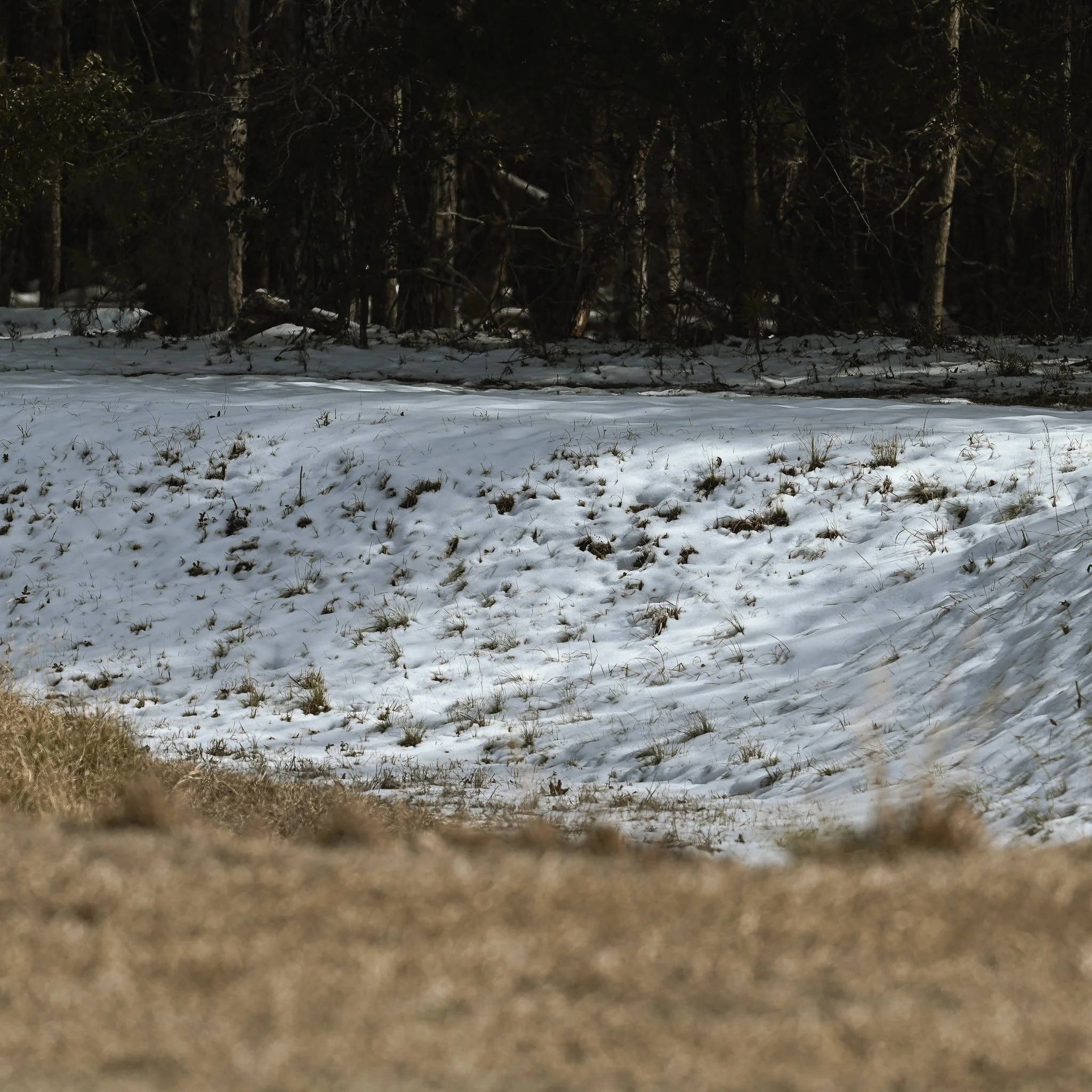 DSC_6501.jpg
