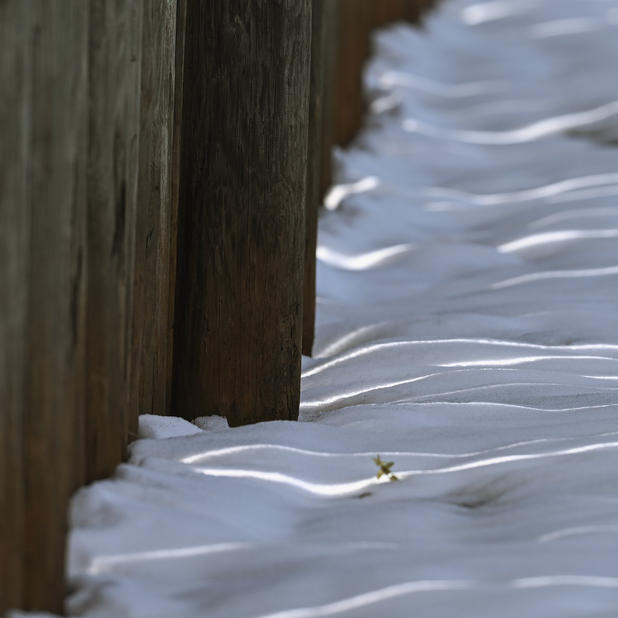 DSC_6496.jpg
