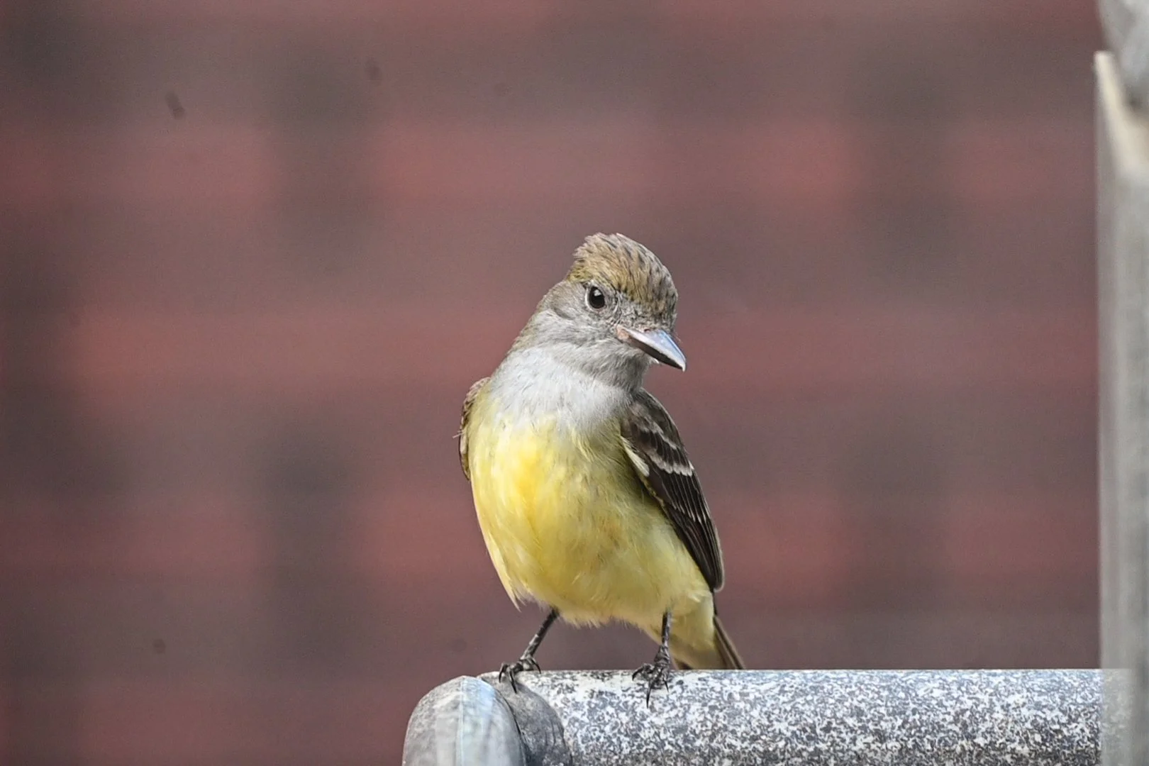 DSC_3813.jpg