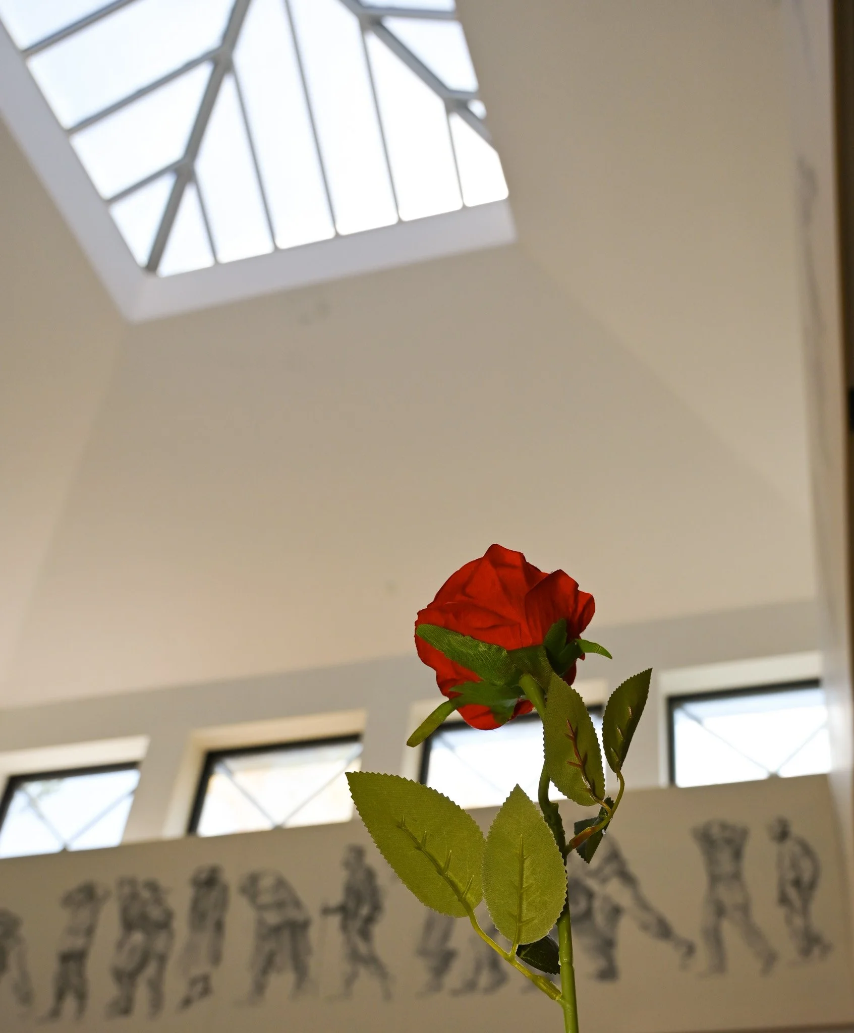 DSC_1118-2.jpg
