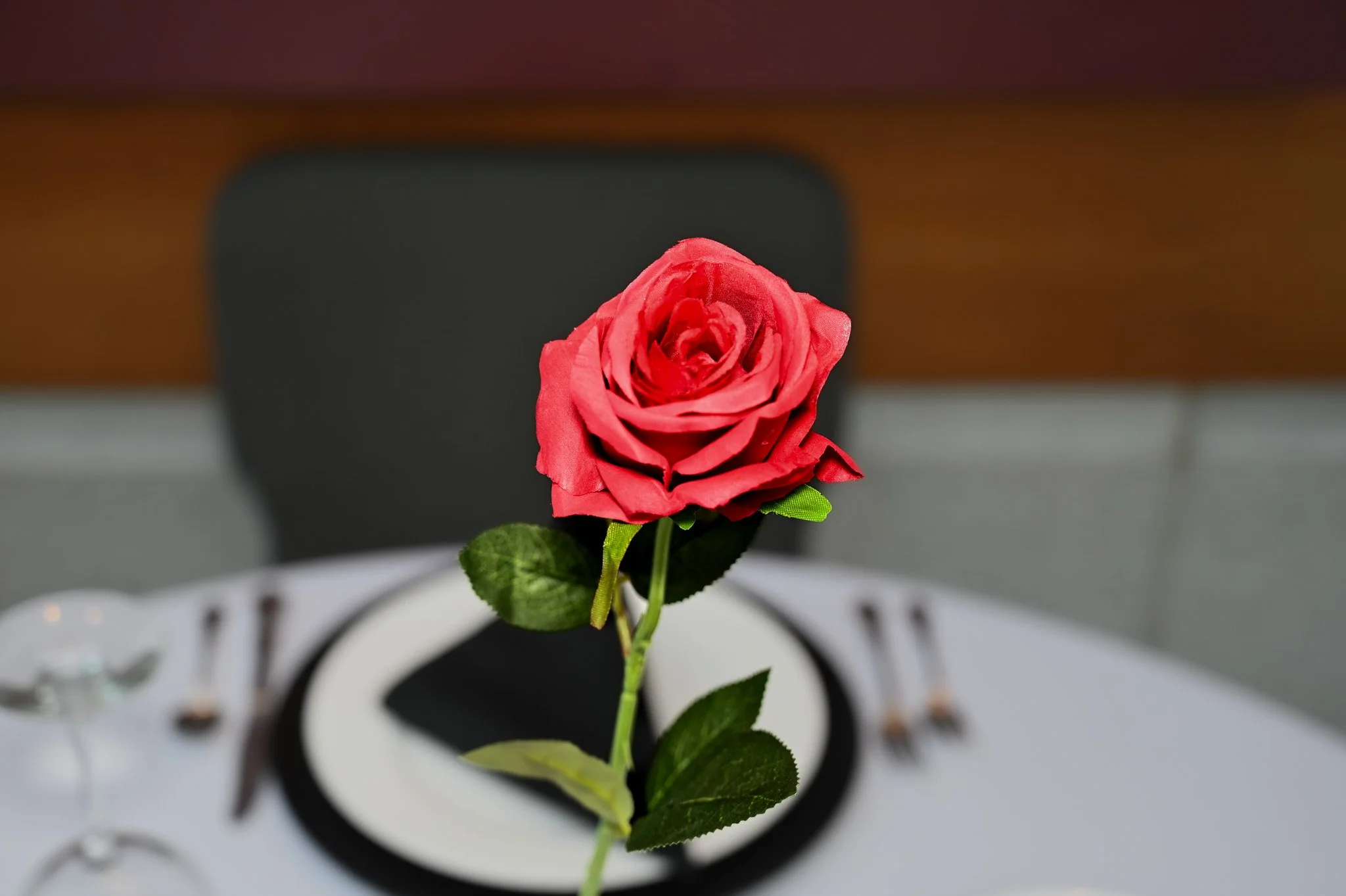 DSC_1108.jpg