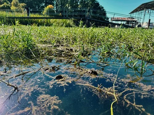 A9A9EDD1-F543-4A87-B6CE-BC5F84F94289.jfif