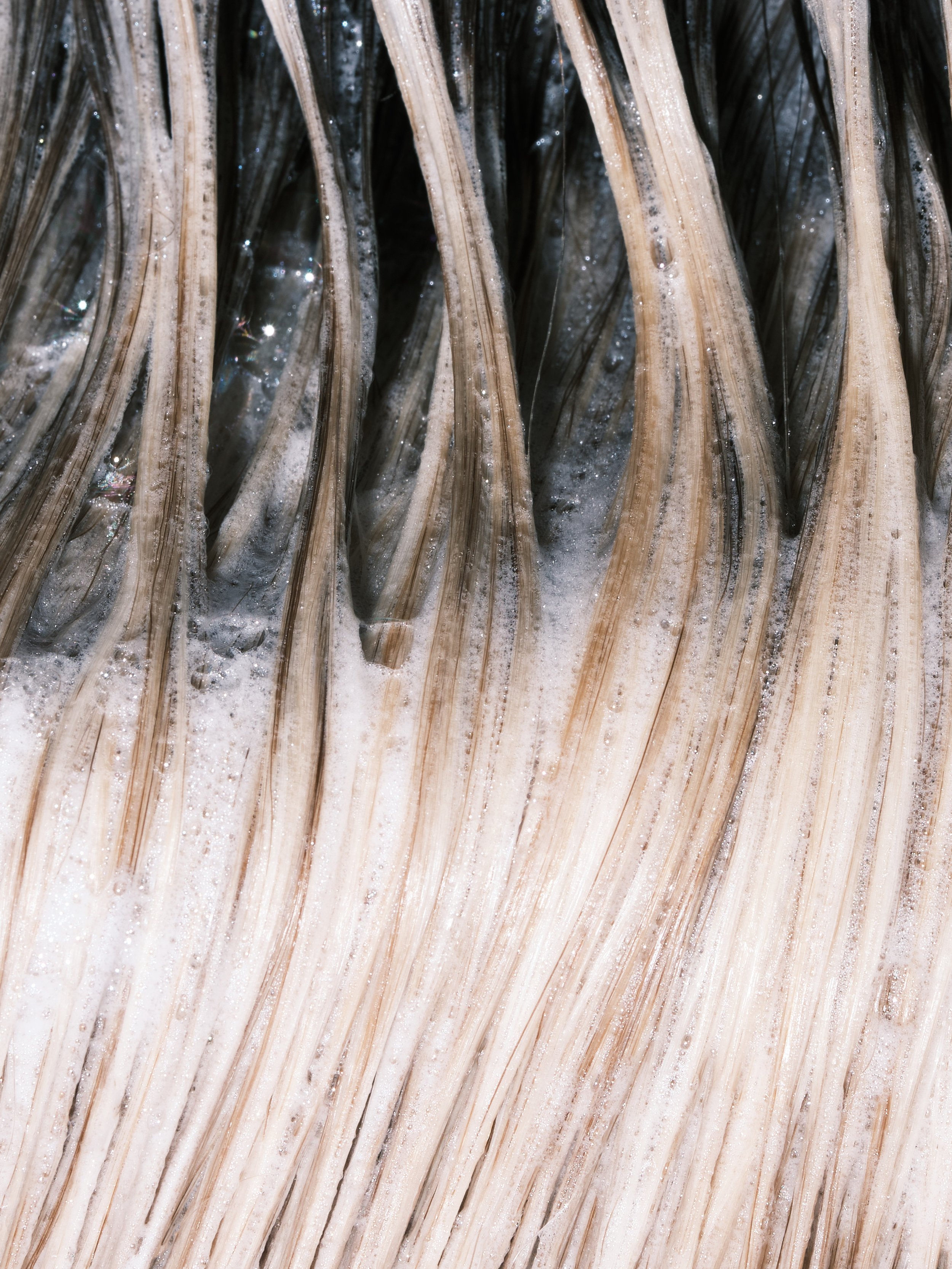 Close-up of wet, beige, fibrous plant material with bubbles and foam.