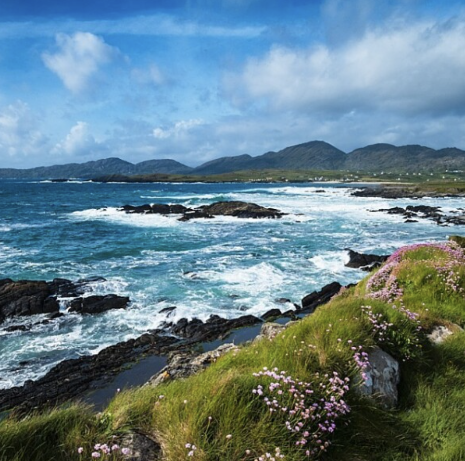 A scenic coastal landscape with blue ocean waves crashing against dark rocks, green grassy foreground with pink flowers, and distant mountains under a partly cloudy sky in south Ireland.