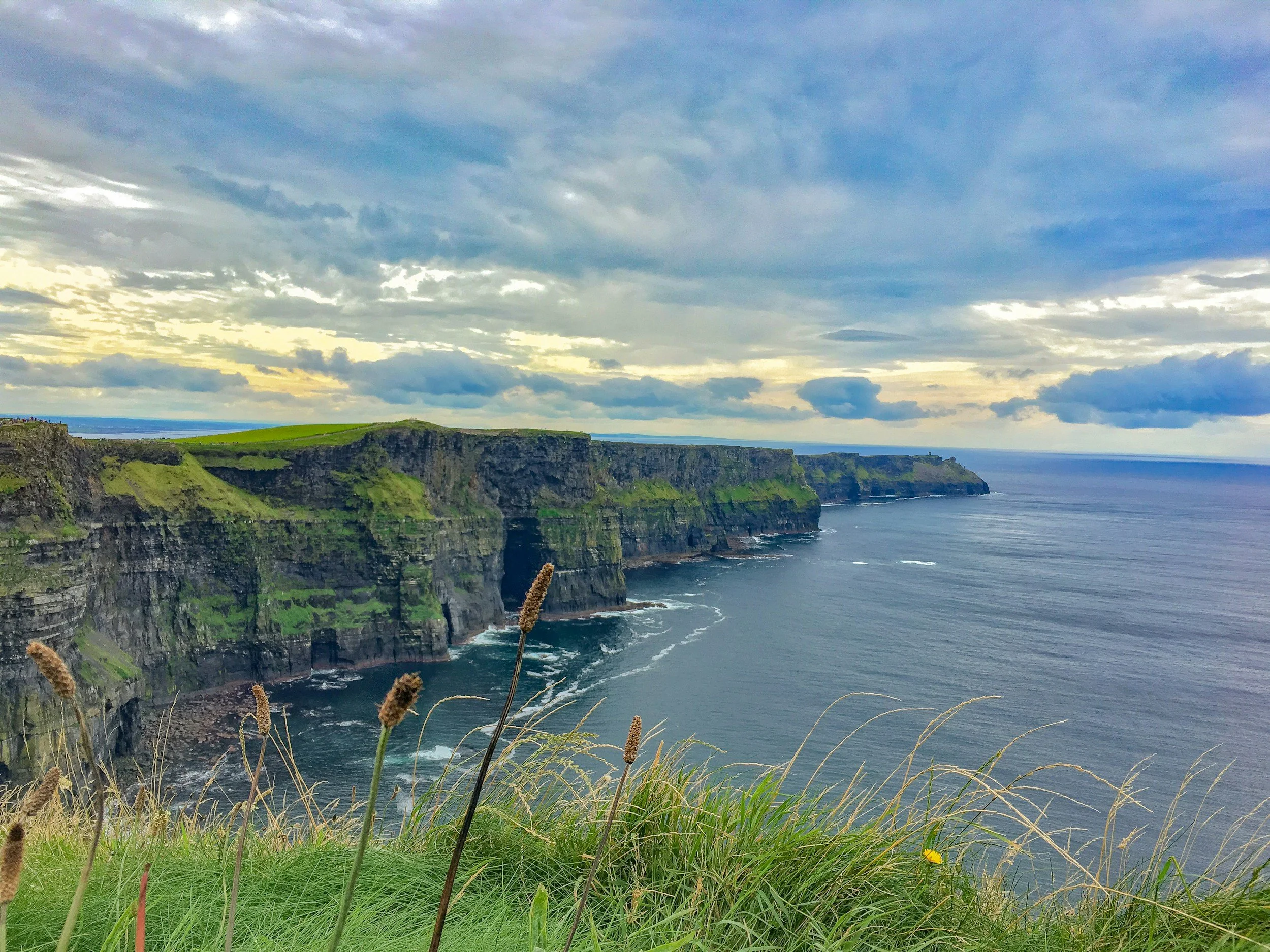 Cliffs along the coast with green grass and plants in the foreground, cloudy sky with patches of sunlight, and the ocean with waves below in Ireland.