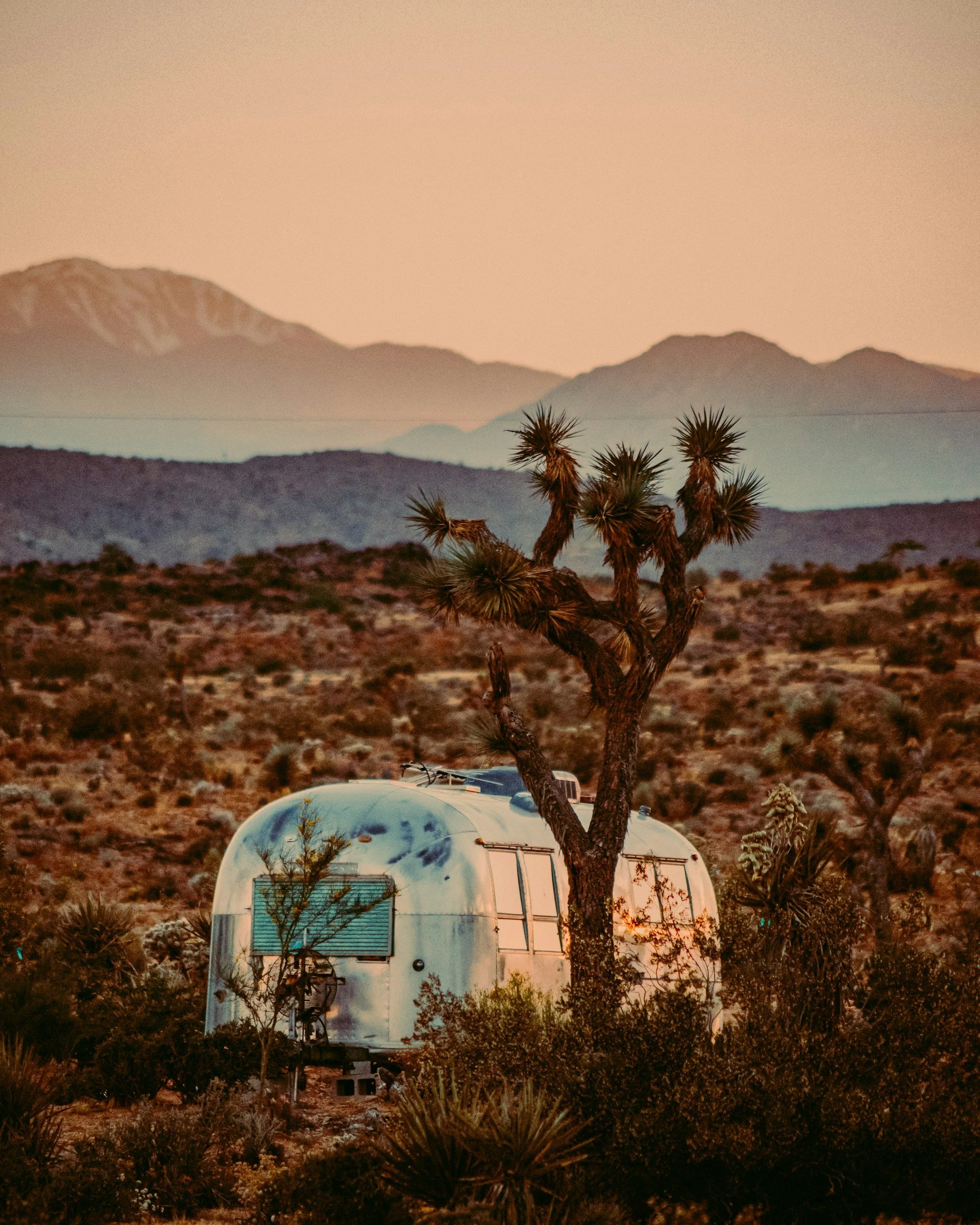 An Airstream trailer parked in a desert landscape with Joshua trees, with mountains in the background, during sunset.