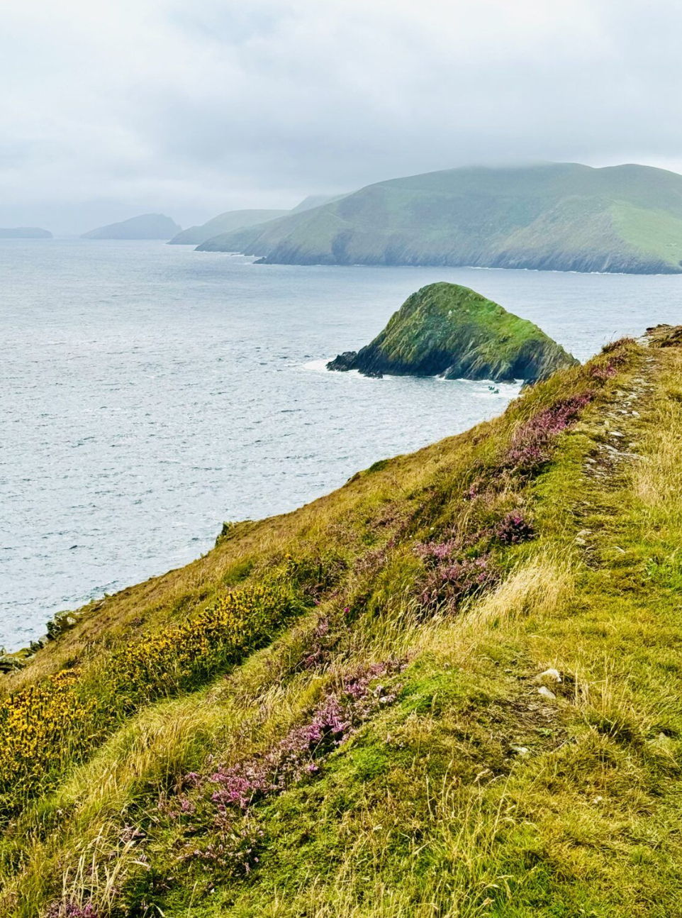 Scenic coastal landscape with grassy hillside, pink and yellow wildflowers, rocky islands, and distant green hills under cloudy sky