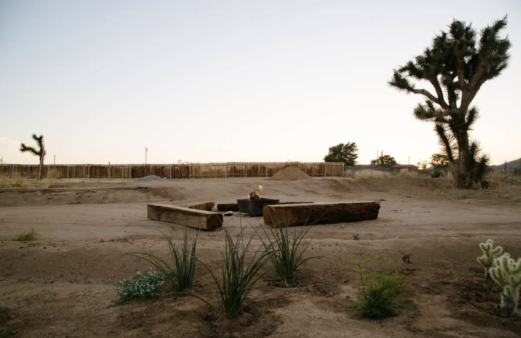 Desert landscape with a large Joshua tree on the right, a smaller Joshua tree on the left, some green plants and cacti in the foreground, a fire pit with a flame in the middle, and a fence in the background during sunset.