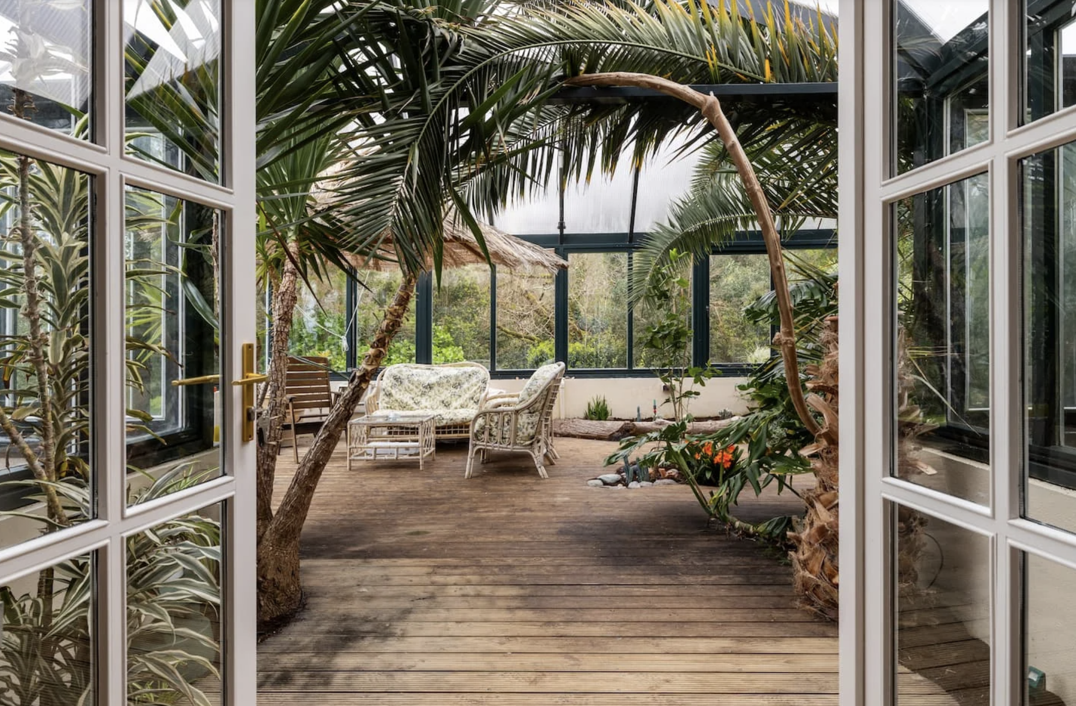 Retreat house in Ireland's indoor patio with wooden flooring, tropical plants, wicker furniture, and large glass windows.