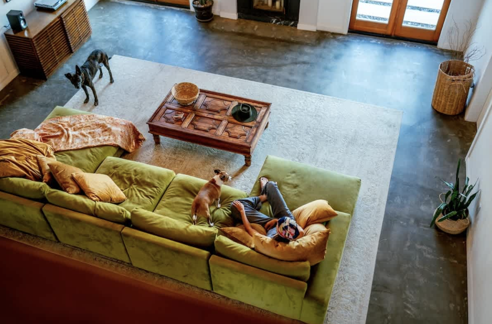 Overhead view of a living room with a green sectional sofa, a person relaxing in a bean bag, two dogs, a wooden coffee table, a large area rug, and plants near French doors.