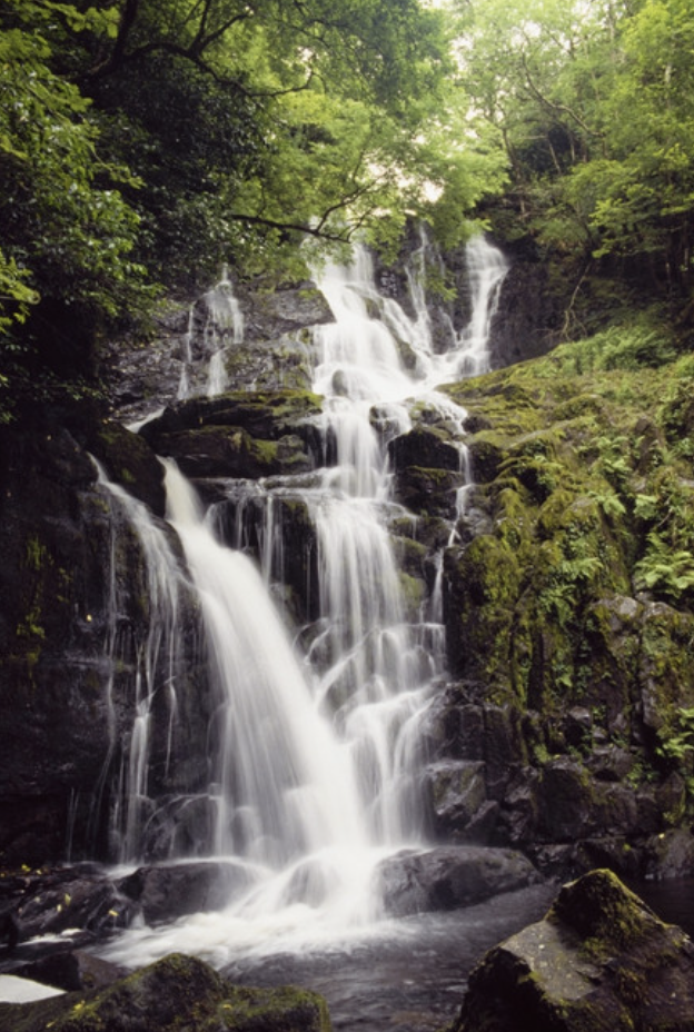 A cascading waterfall flowing over moss-covered rocks in a lush green forest in Killarney National Park in Ireland.