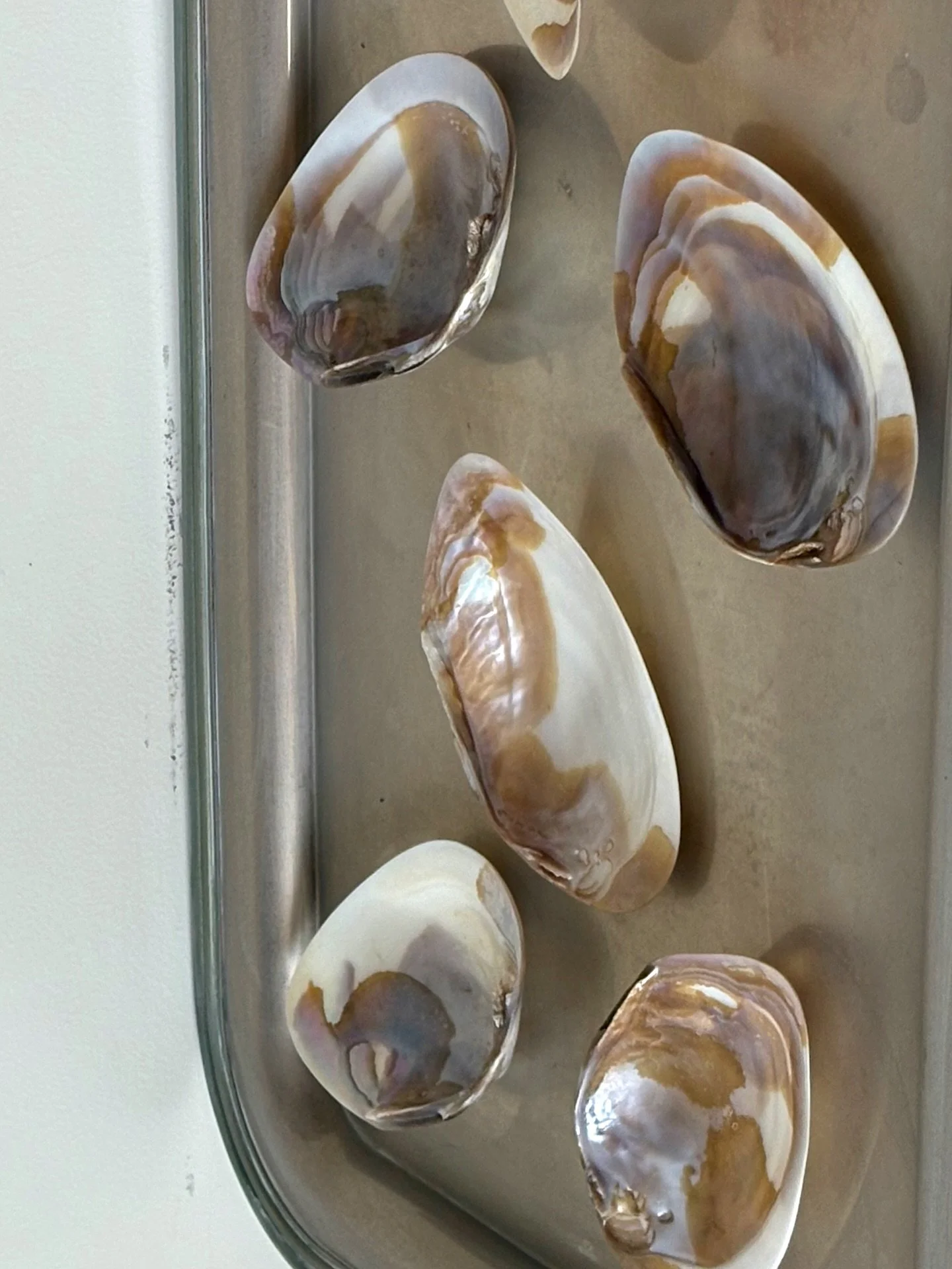 𝘤𝘰𝘭𝘭𝘦𝘤𝘵𝘪𝘯𝘨 𝘰𝘣𝘫𝘦𝘤𝘵𝘴 𝘵𝘩𝘢𝘵 𝘵𝘳𝘢𝘯𝘴𝘧𝘰𝘳𝘮 𝘴𝘱𝘢𝘤𝘦 𝘢𝘯𝘥 𝘧𝘦𝘦𝘭𝘪𝘯𝘨 ❦