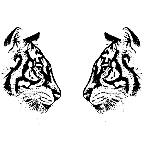 Two mirrored tiger heads facing each other in black and white.