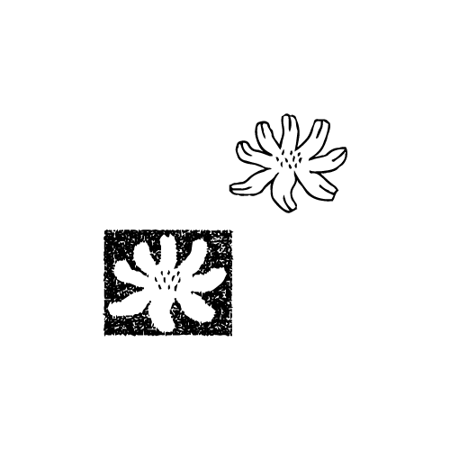Black and white floral illustration with two stylized flowers.