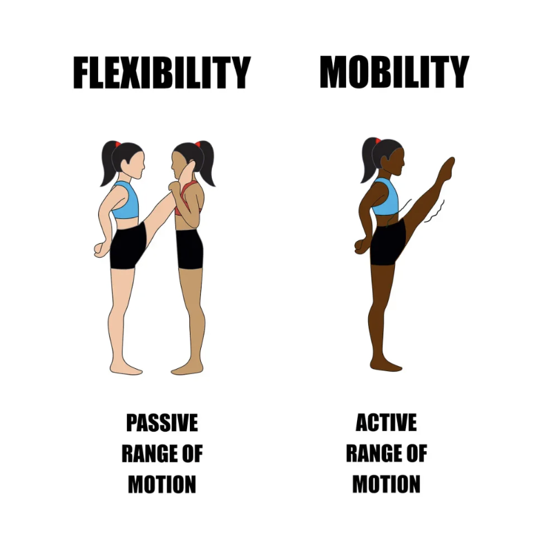 🔄 Mobility vs Flexibility: Why Both Matter for Pain-Free Movement