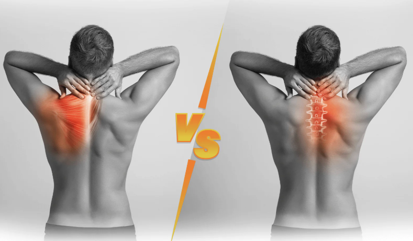 Muscle Pain or Joint Pain? Why Knowing the Difference Matters