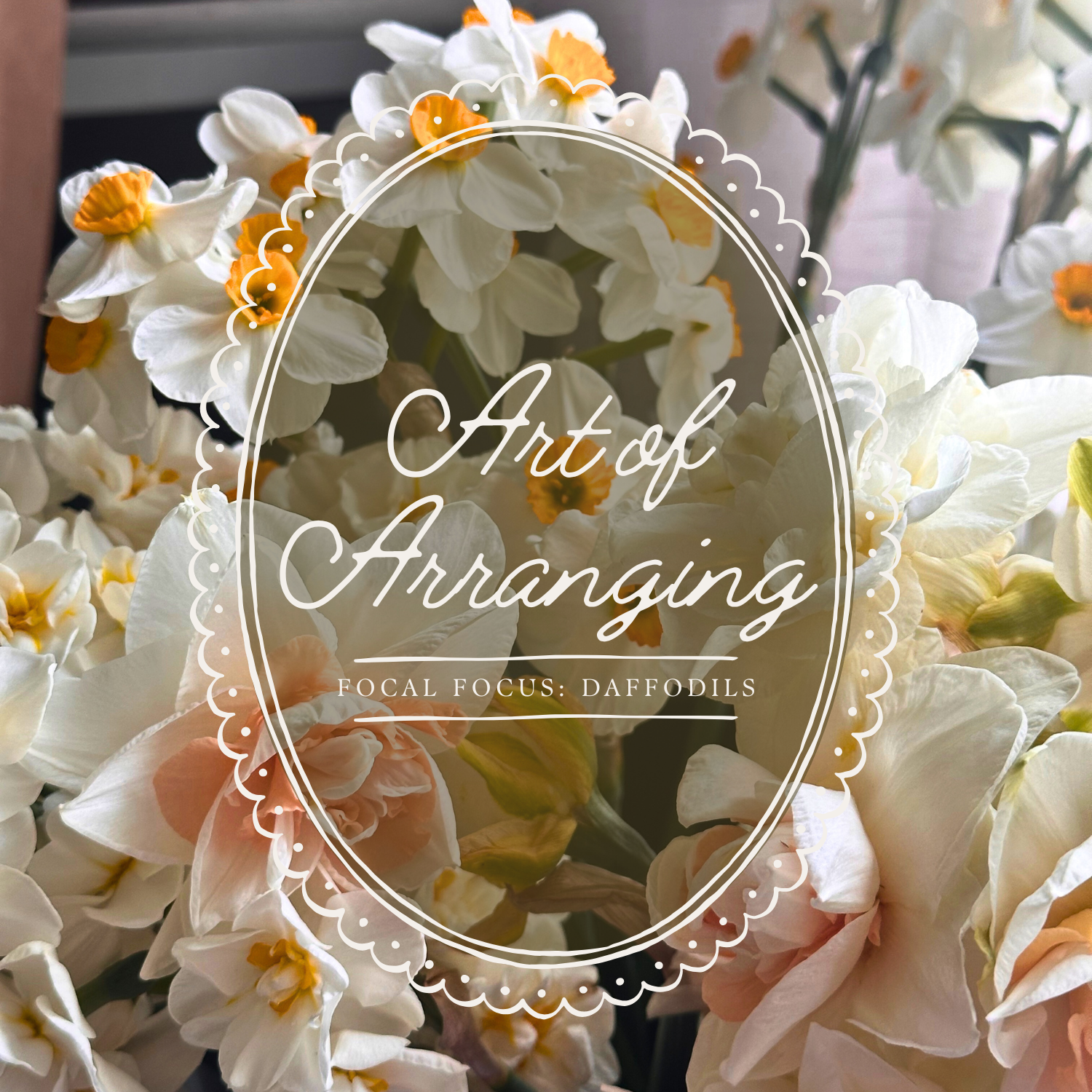 The Art of Arranging: Daffodils