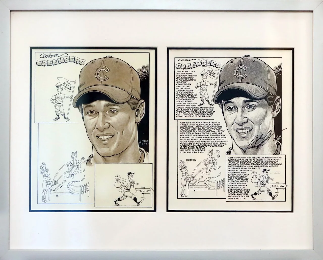 Framed artwork featuring a portrait of Adam Greenberg, a baseball player, with illustrations and text highlighting his career, including cartoon images of him as a child, a woman, and a running figure, along with a comic strip at the bottom.