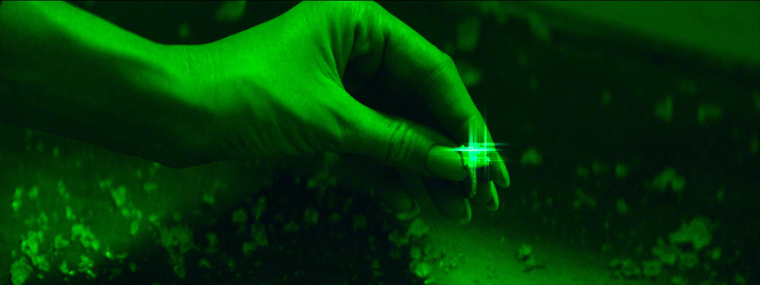 Screenshot 2025-01-11 at 7.37.27 PM.png